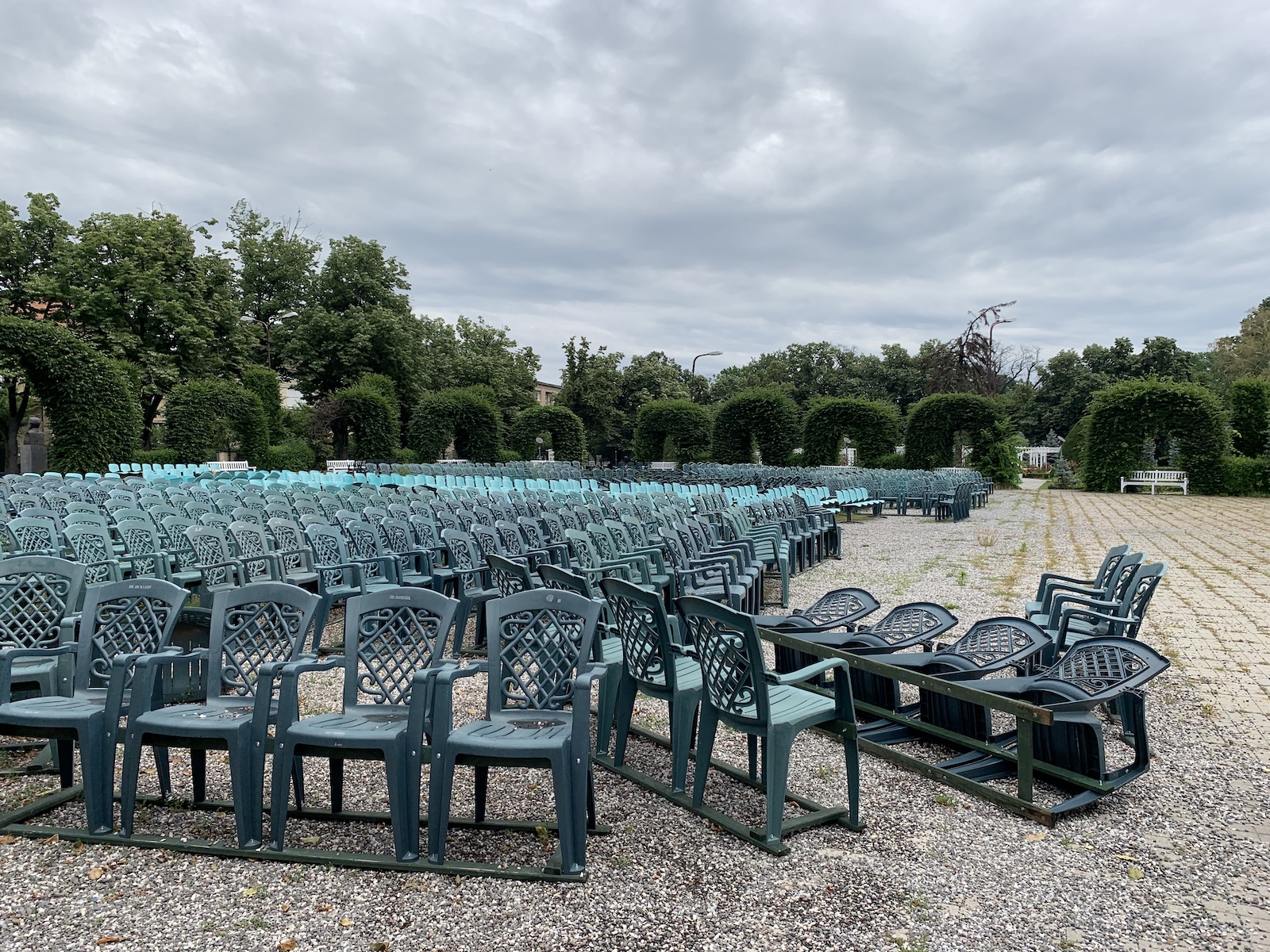 parcul rozelor jungla urbana iunie 2020 foto seba tataru 8