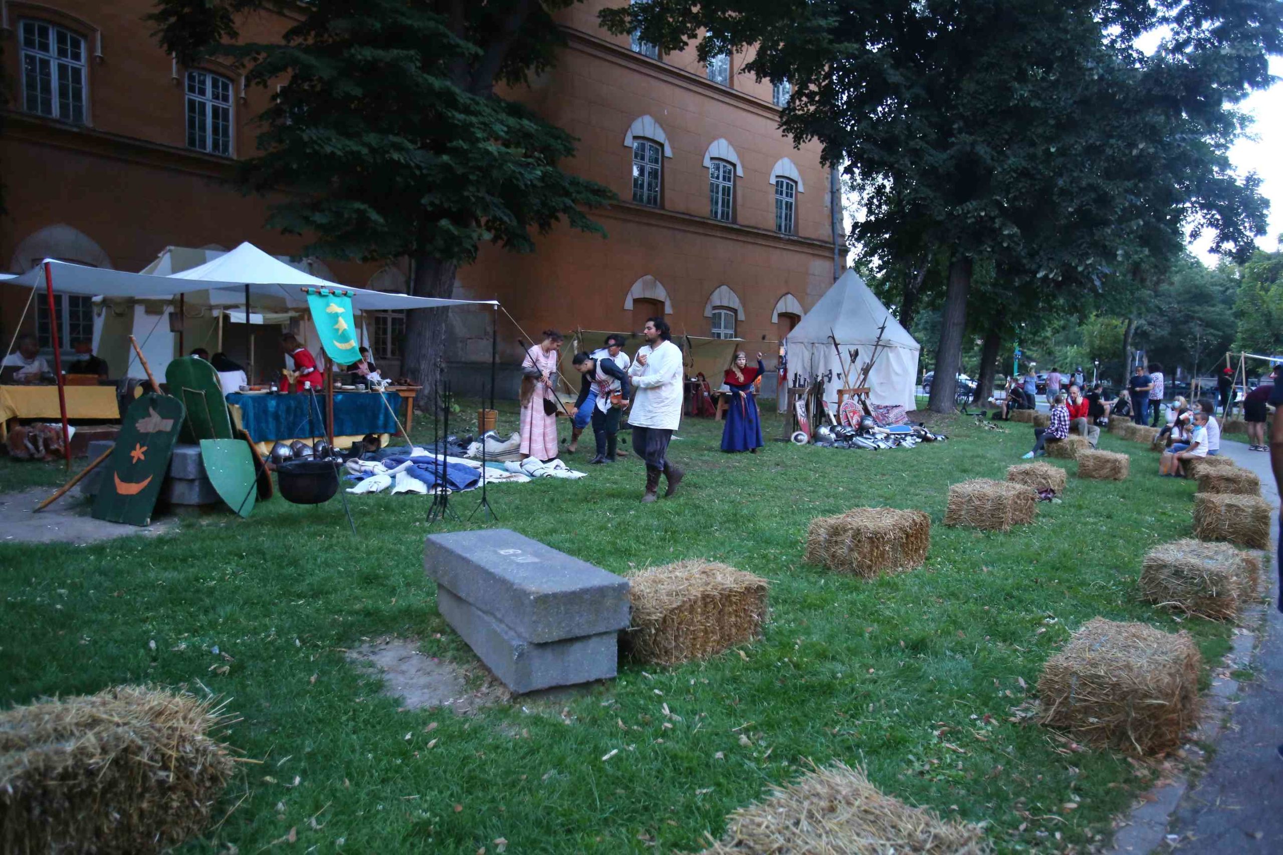 Festivalul Medieval Timisoara 2020 (4)