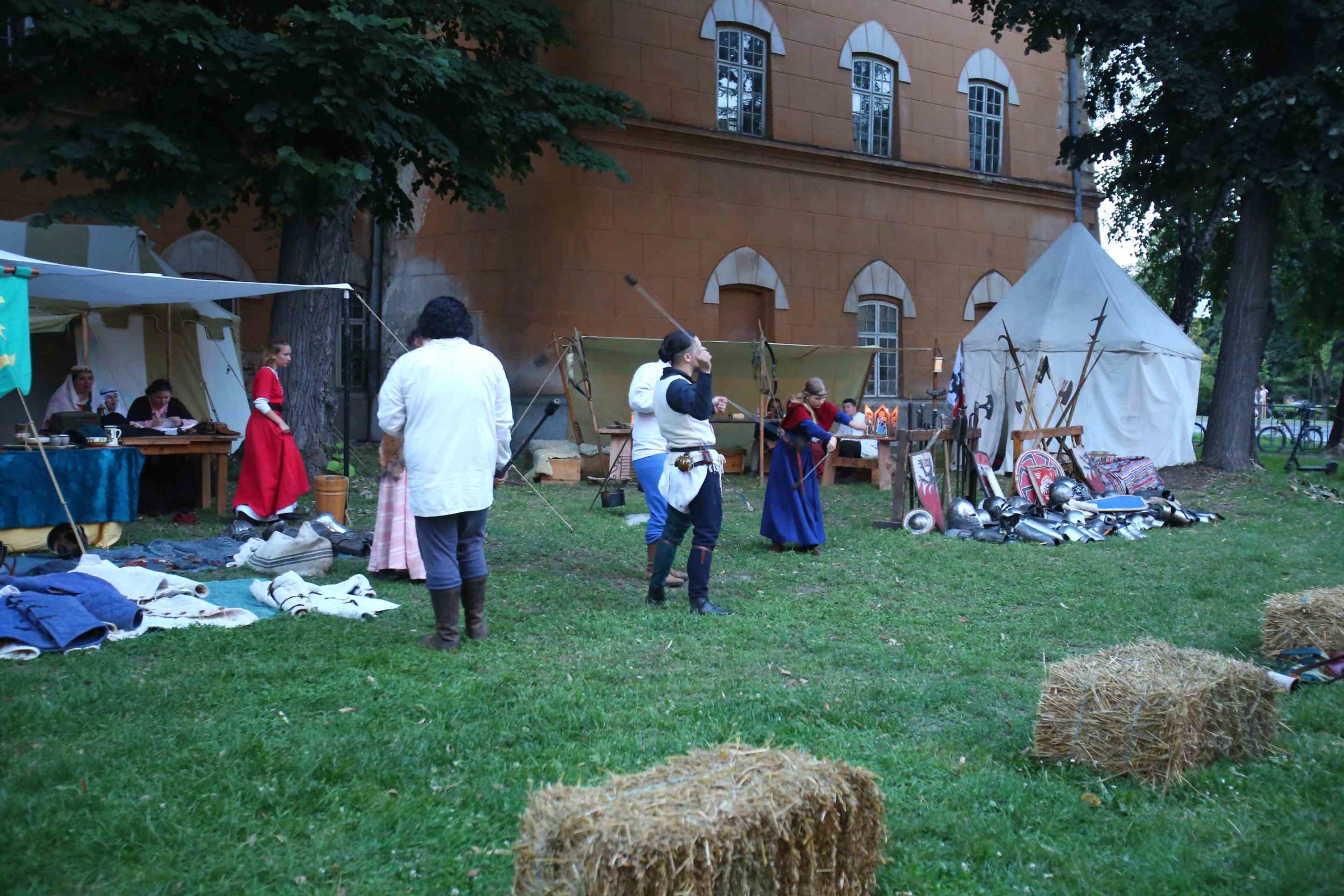 Festivalul Medieval Timisoara 2020 (5)