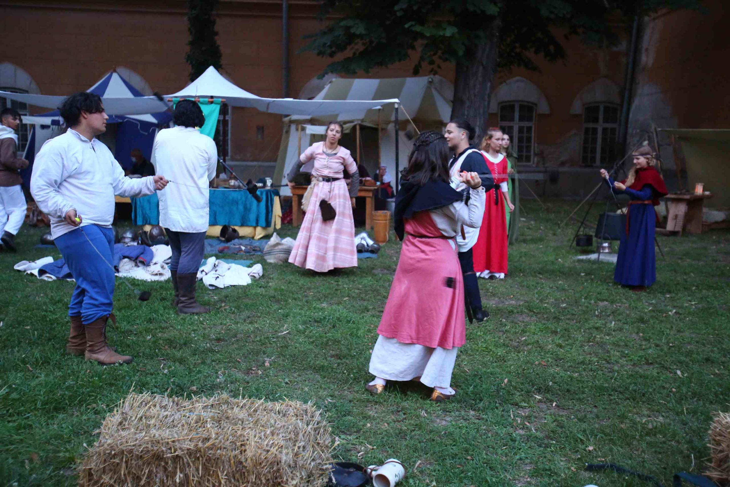 Festivalul Medieval Timisoara 2020 (6)