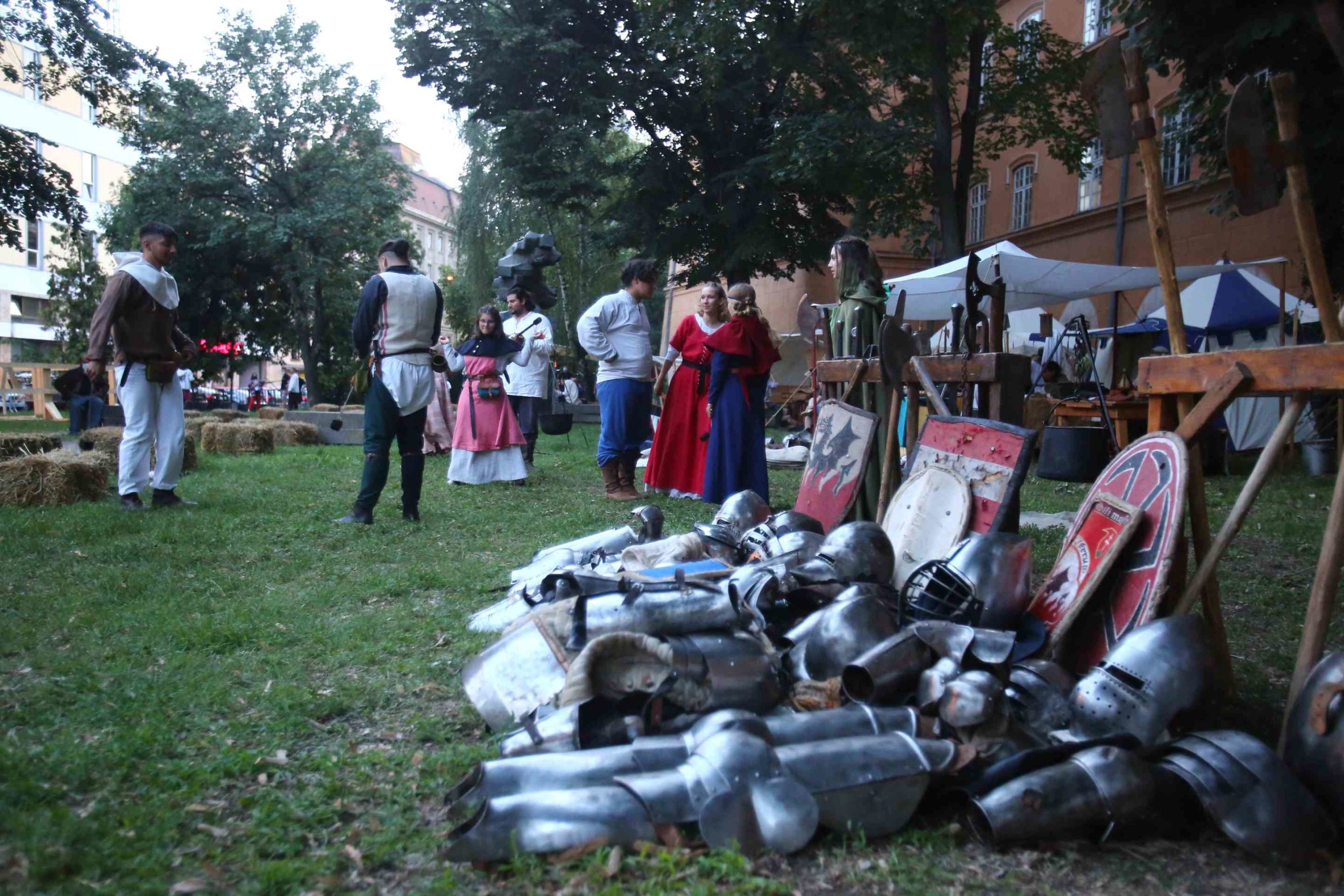 Festivalul Medieval Timisoara 2020 (7)