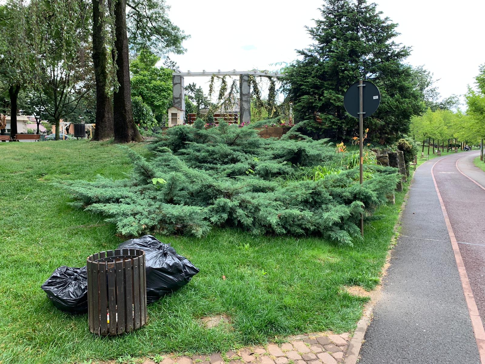 parcul alpinet la 2 ani de la inaugurare iulie 2020 rugina 26