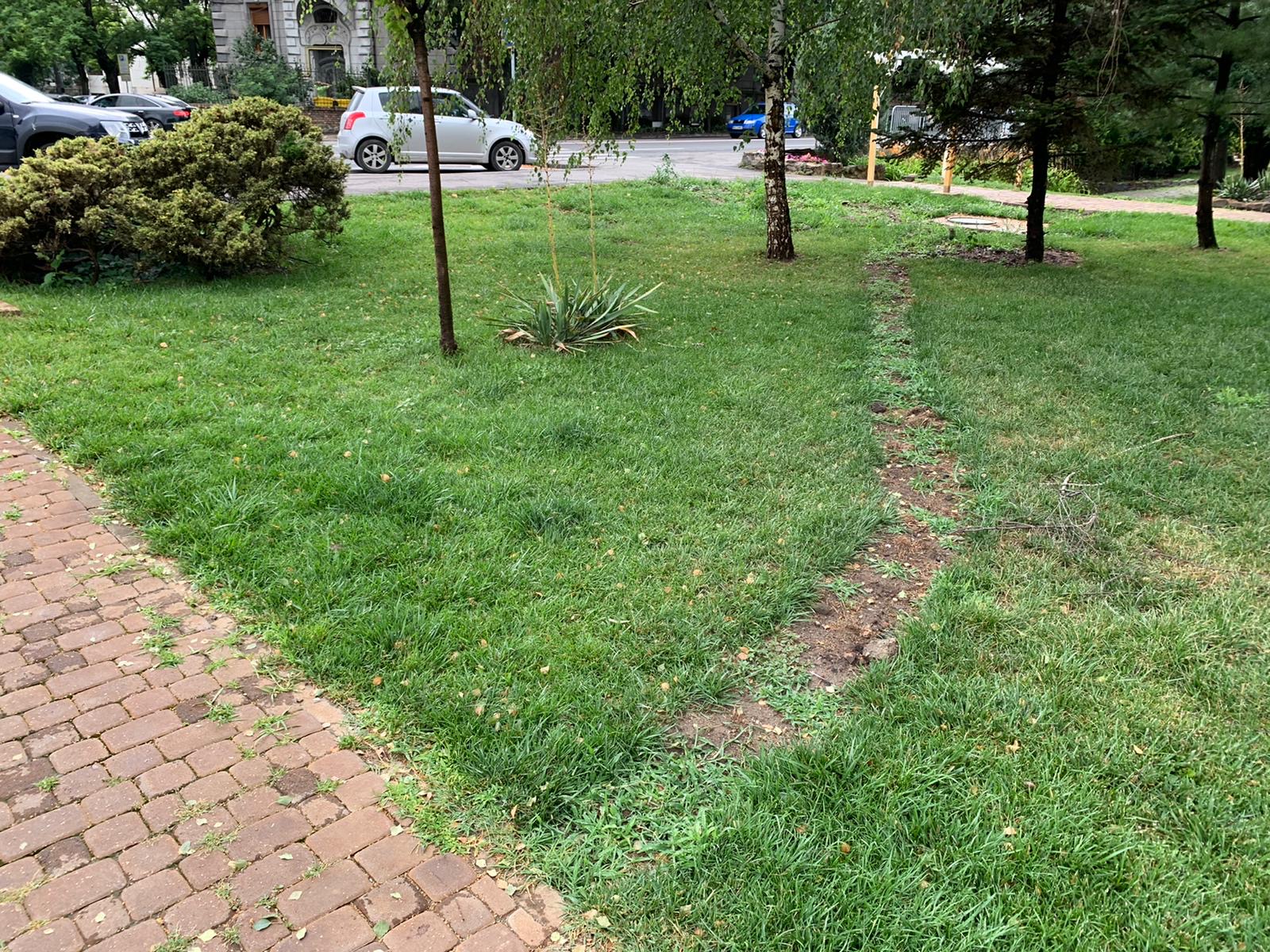 parcul alpinet la 2 ani de la inaugurare iulie 2020 rugina 27