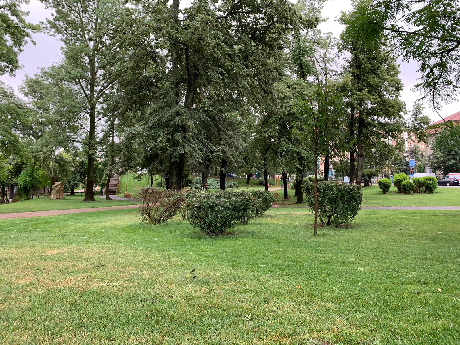 parcul alpinet la 2 ani de la inaugurare iulie 2020 rugina 39