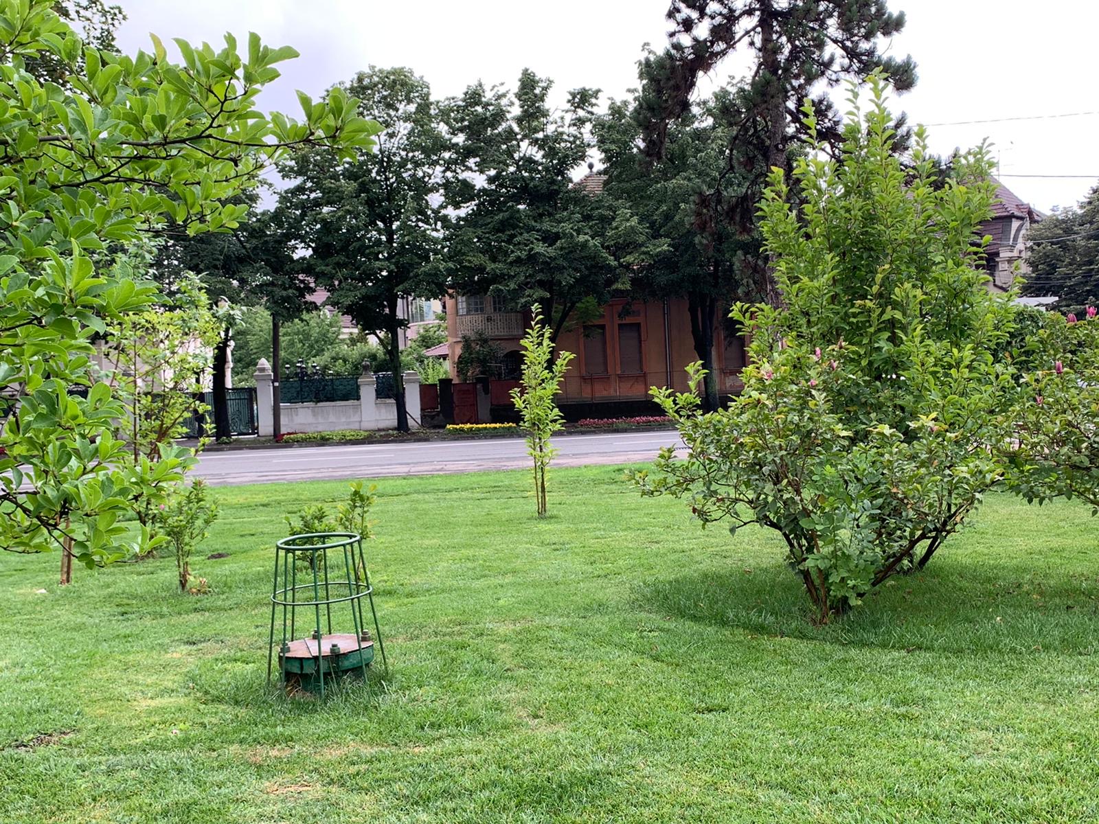 parcul alpinet la 2 ani de la inaugurare iulie 2020 rugina 5