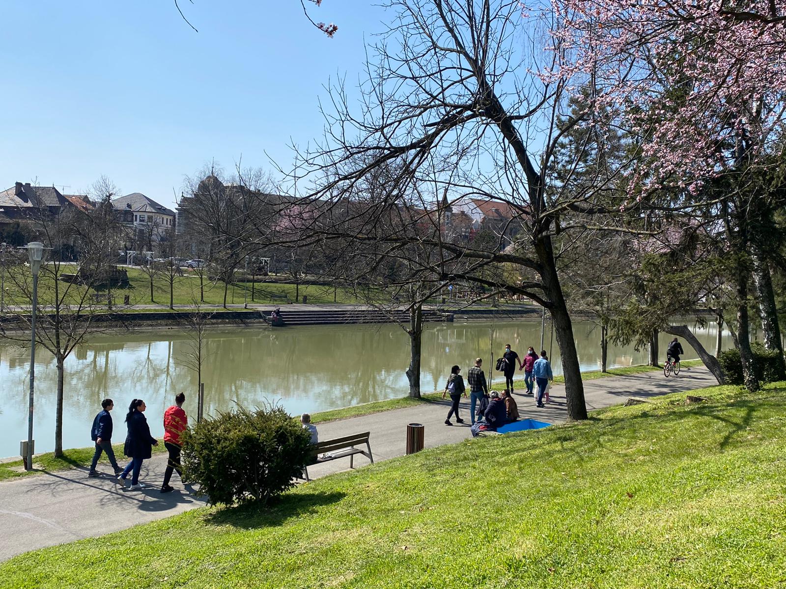 primavara parc mal bega (7)