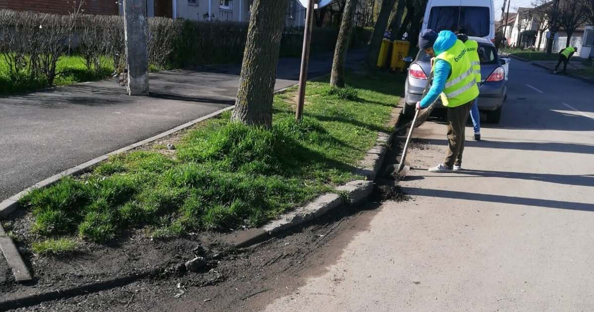 PrimÄƒria TimiÈ™oara Exemplu De Spirit Civic Pe Facebook In Zilele De CurÄƒÈ›enie Pe Strada Mea Parchez Altundeva Tion