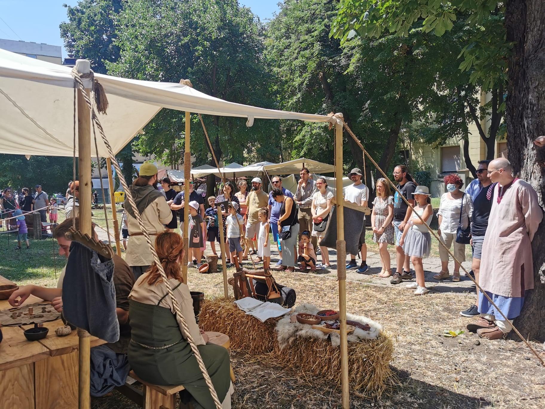 festivalul medieval editia a 3 a (7)