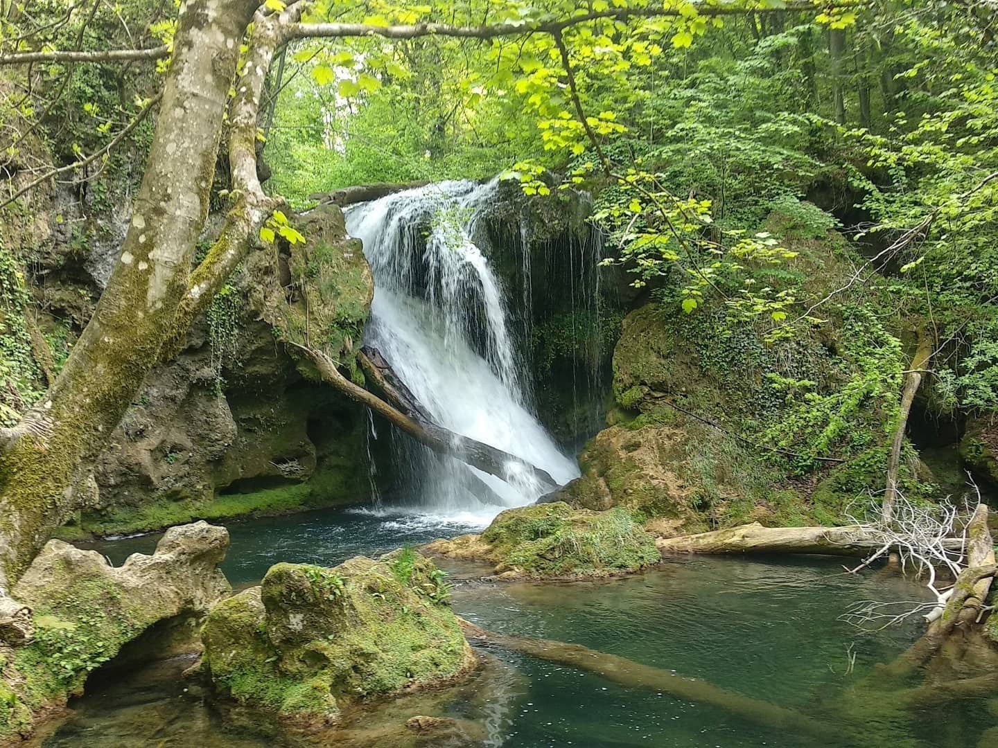 banatul montan destinatia anului (88)