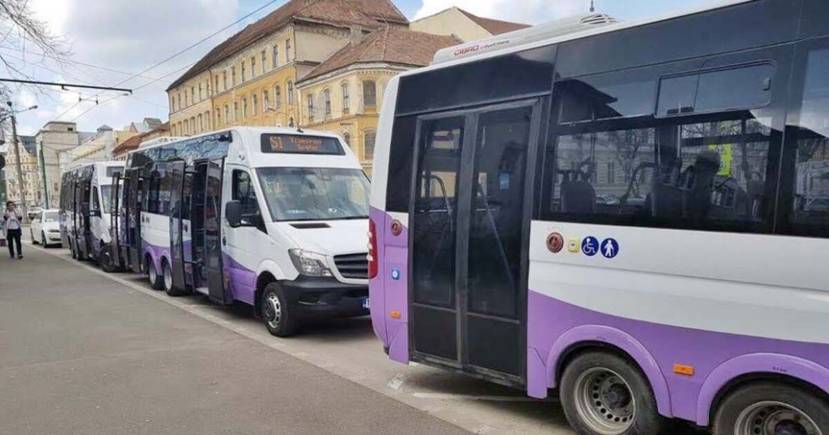 Timișoara: 15 Linii De Transport Destinate Elevilor. Peste 160 De ...