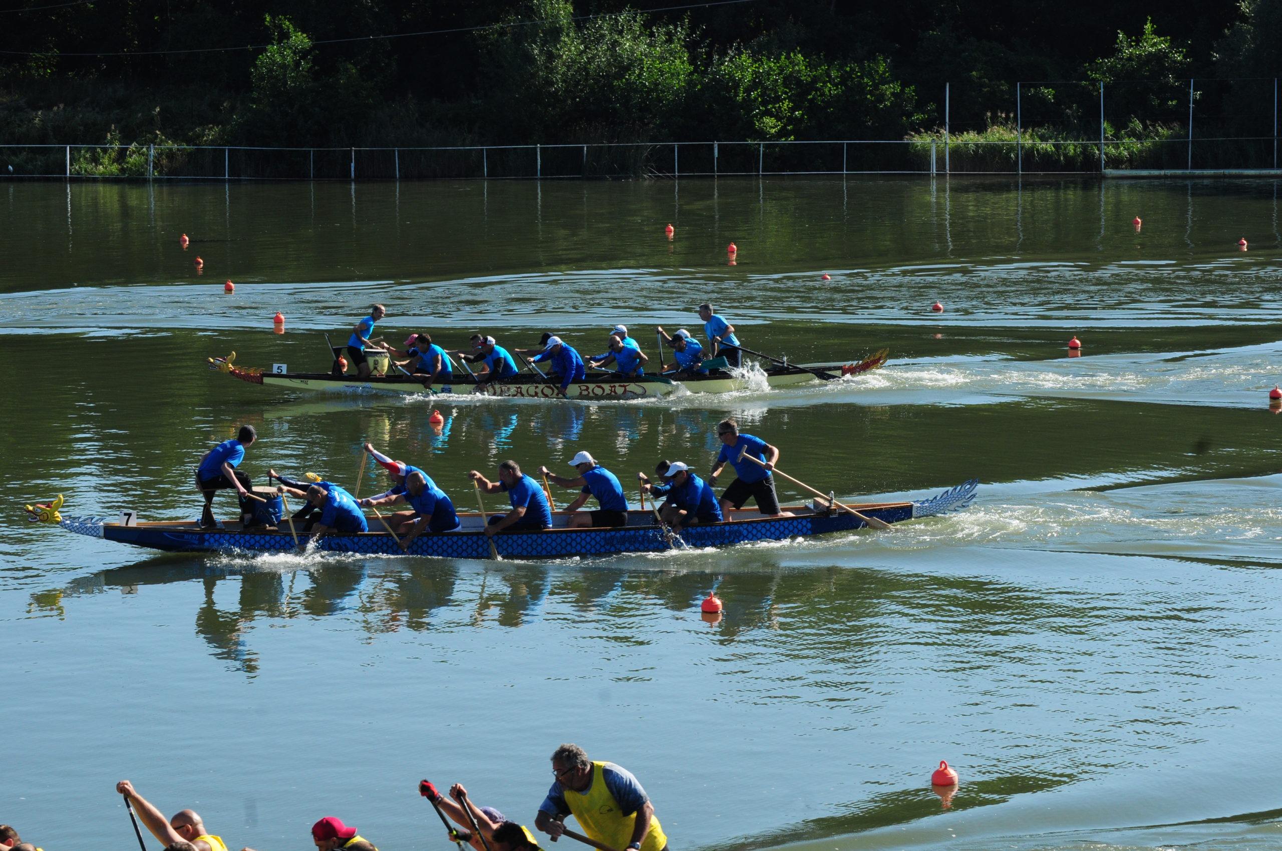 Campionatul de bărci dragon