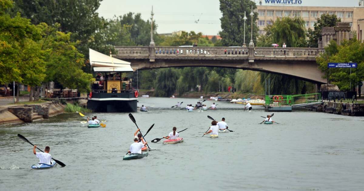 Ce facem astăzi, 19 august 2024, în Timișoara?