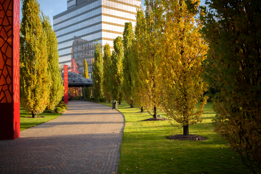 Momente de respiro acompaniate de nuanțele arămii ale naturii, în Iulius Gardens