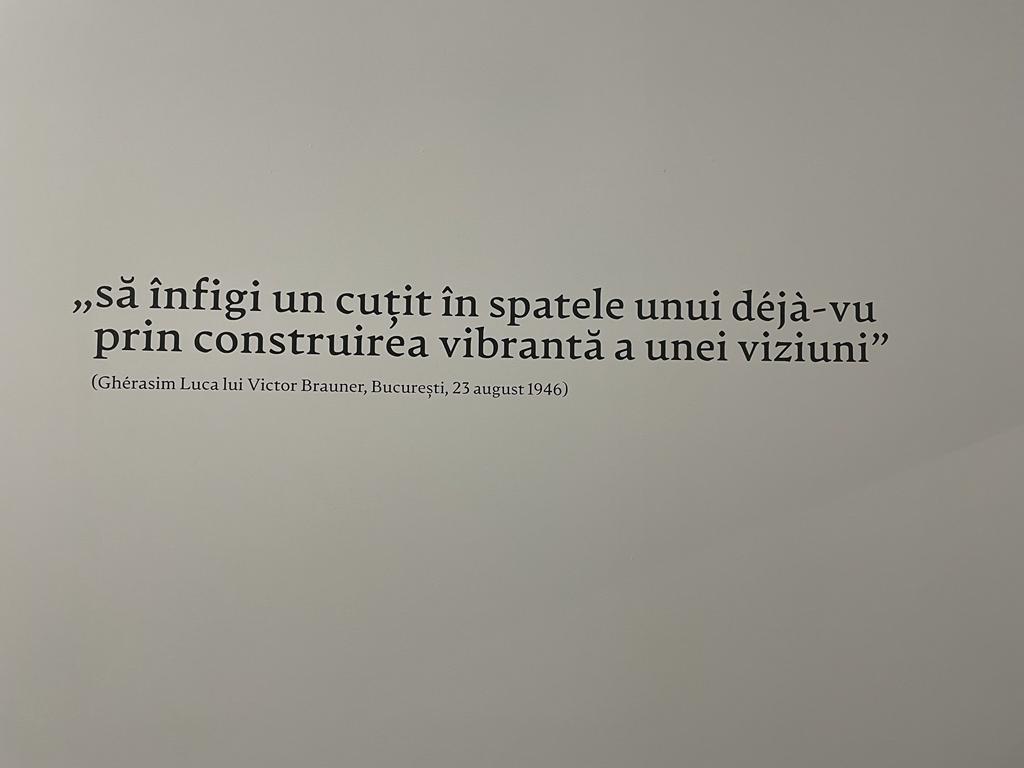 Infra Noir anatomii ale dorinței, metamorfoze ale imaginii (58)