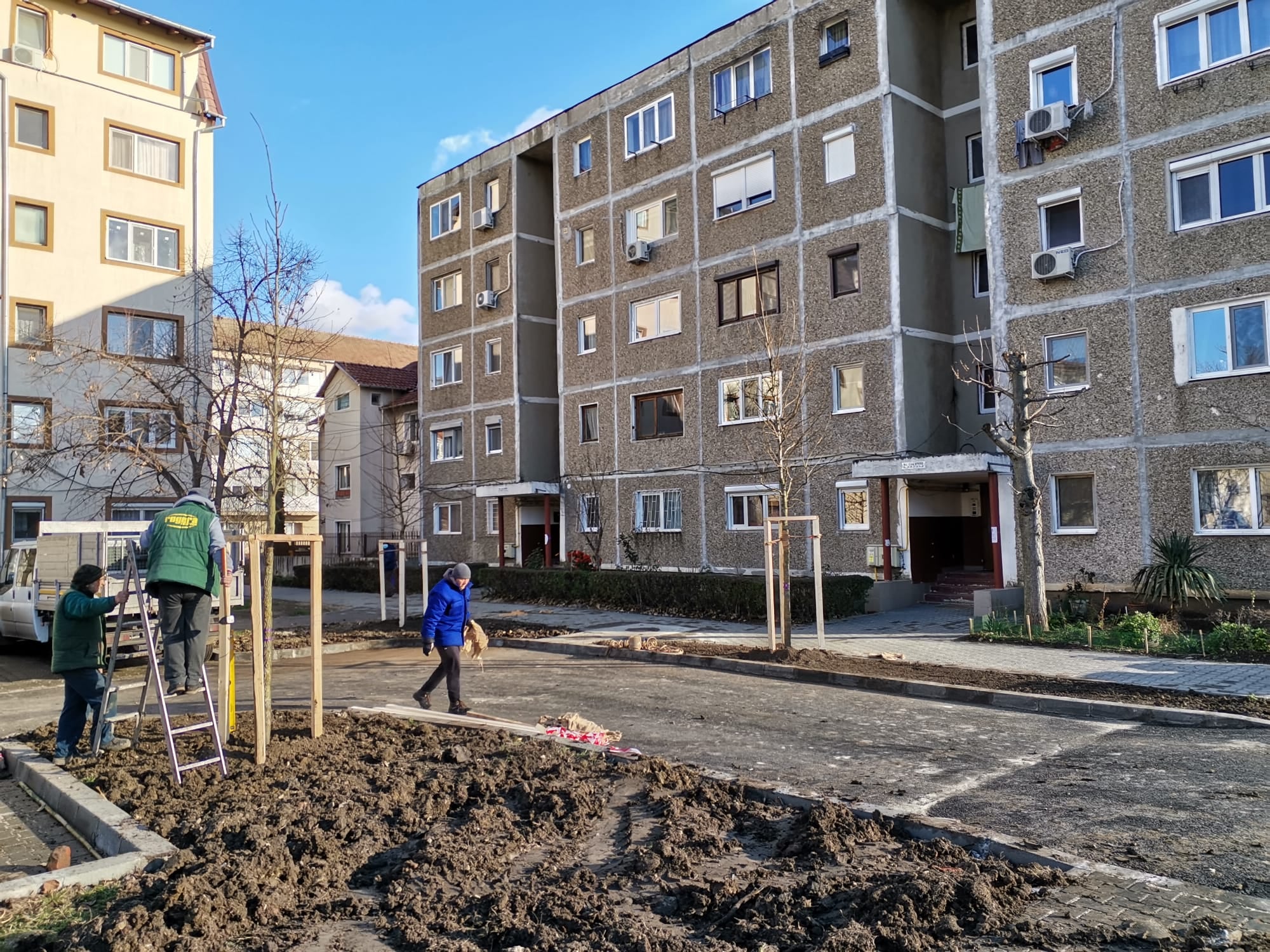 plantari copaci pmt bucovina (8)