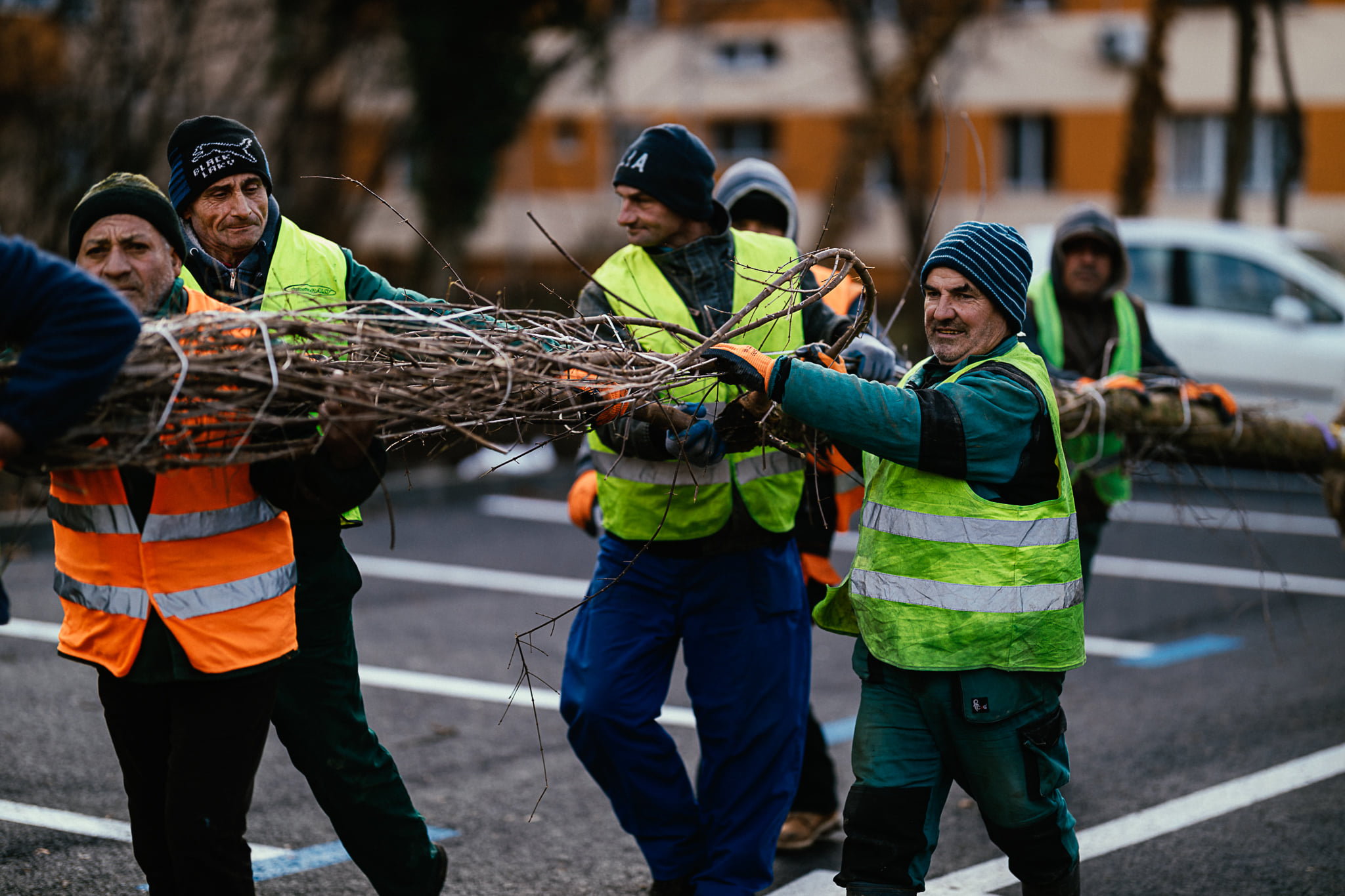 plantare arbori dominic fritz (1)