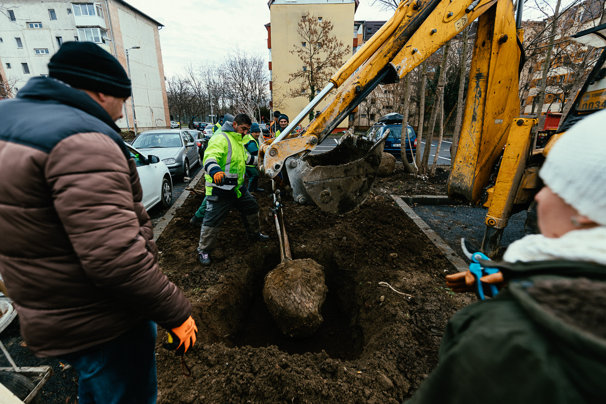 plantare arbori dominic fritz (2)