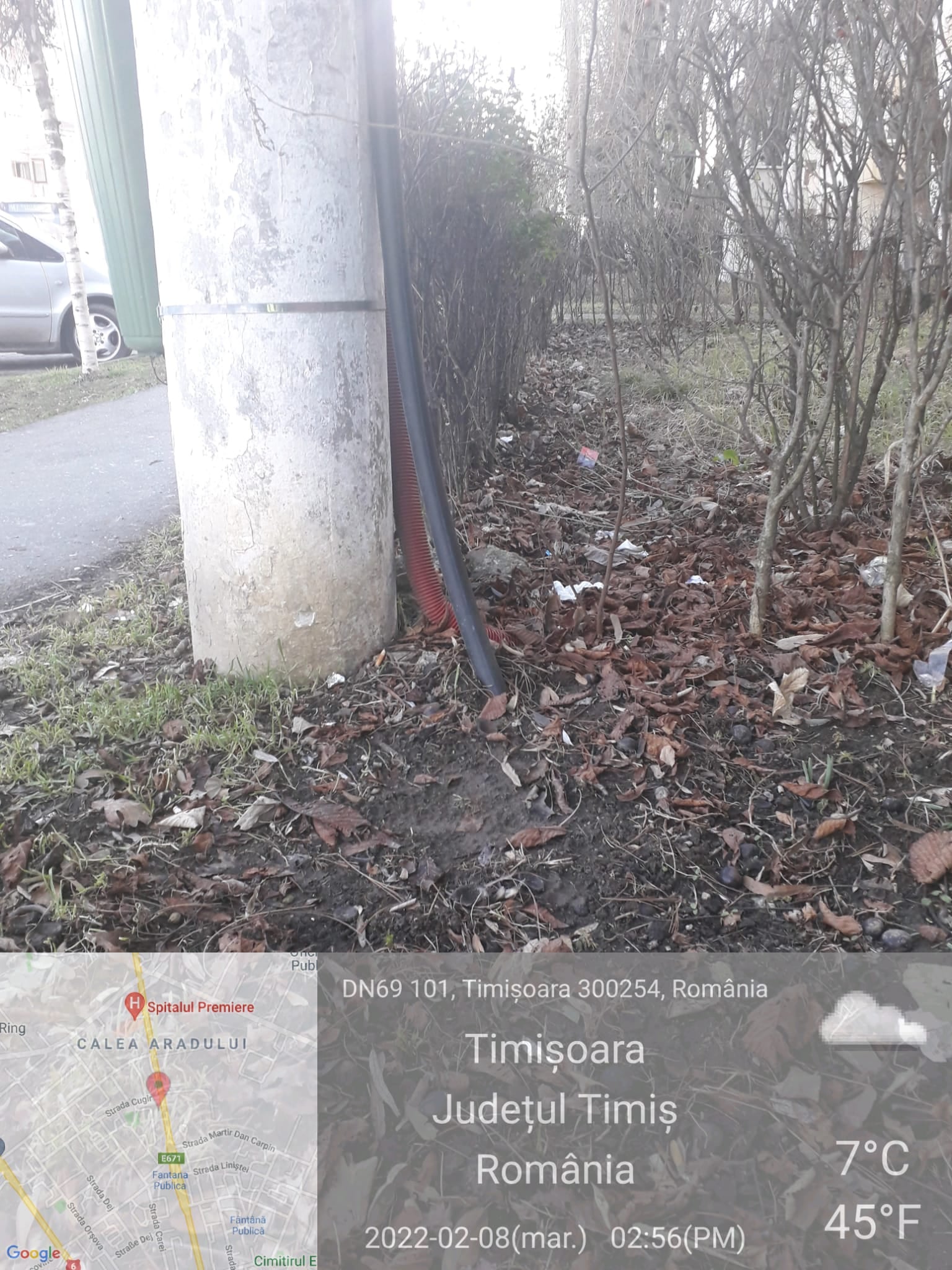 gunoiae timisoara garda de mediu (3)