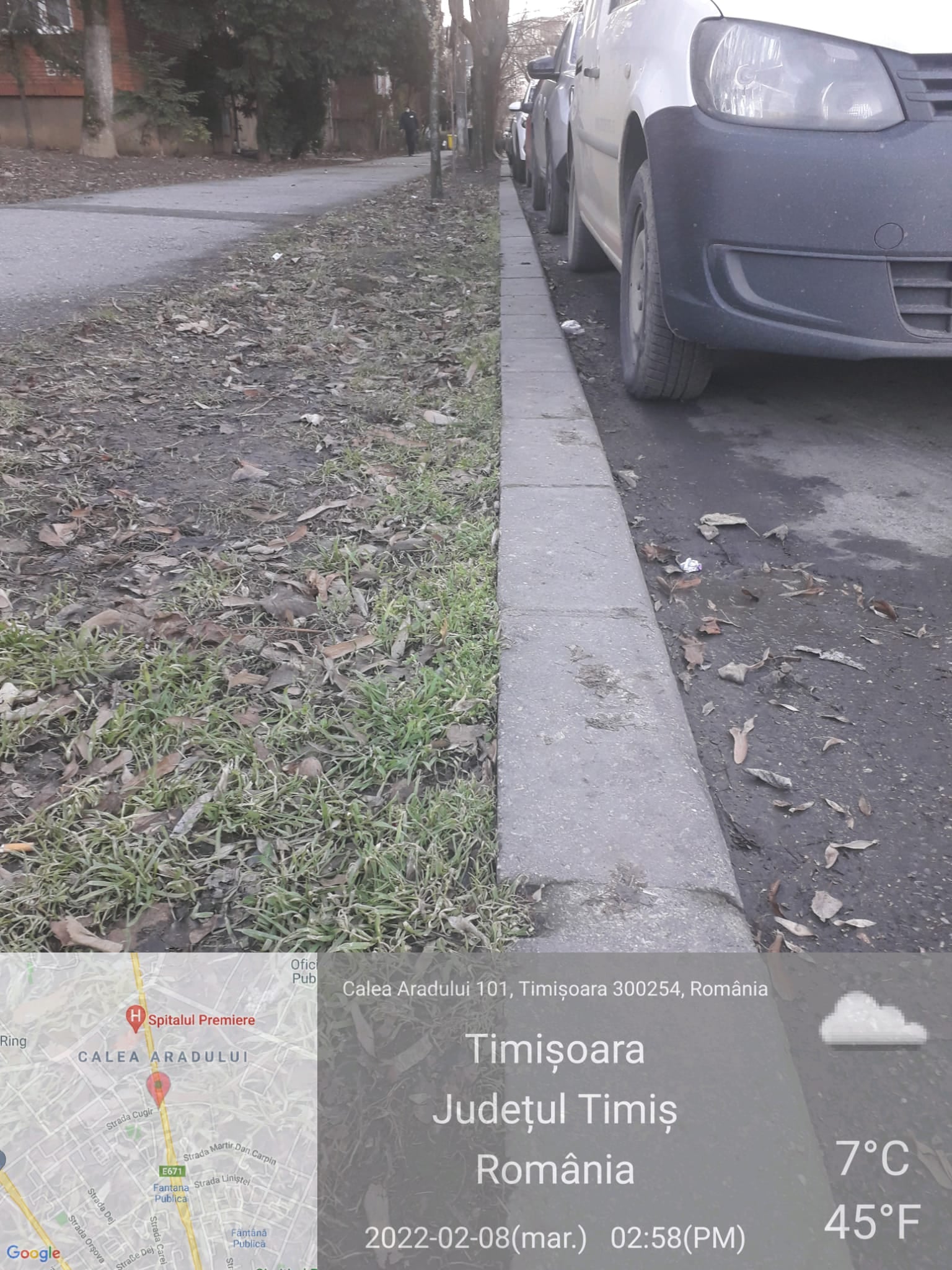 gunoiae timisoara garda de mediu (6)