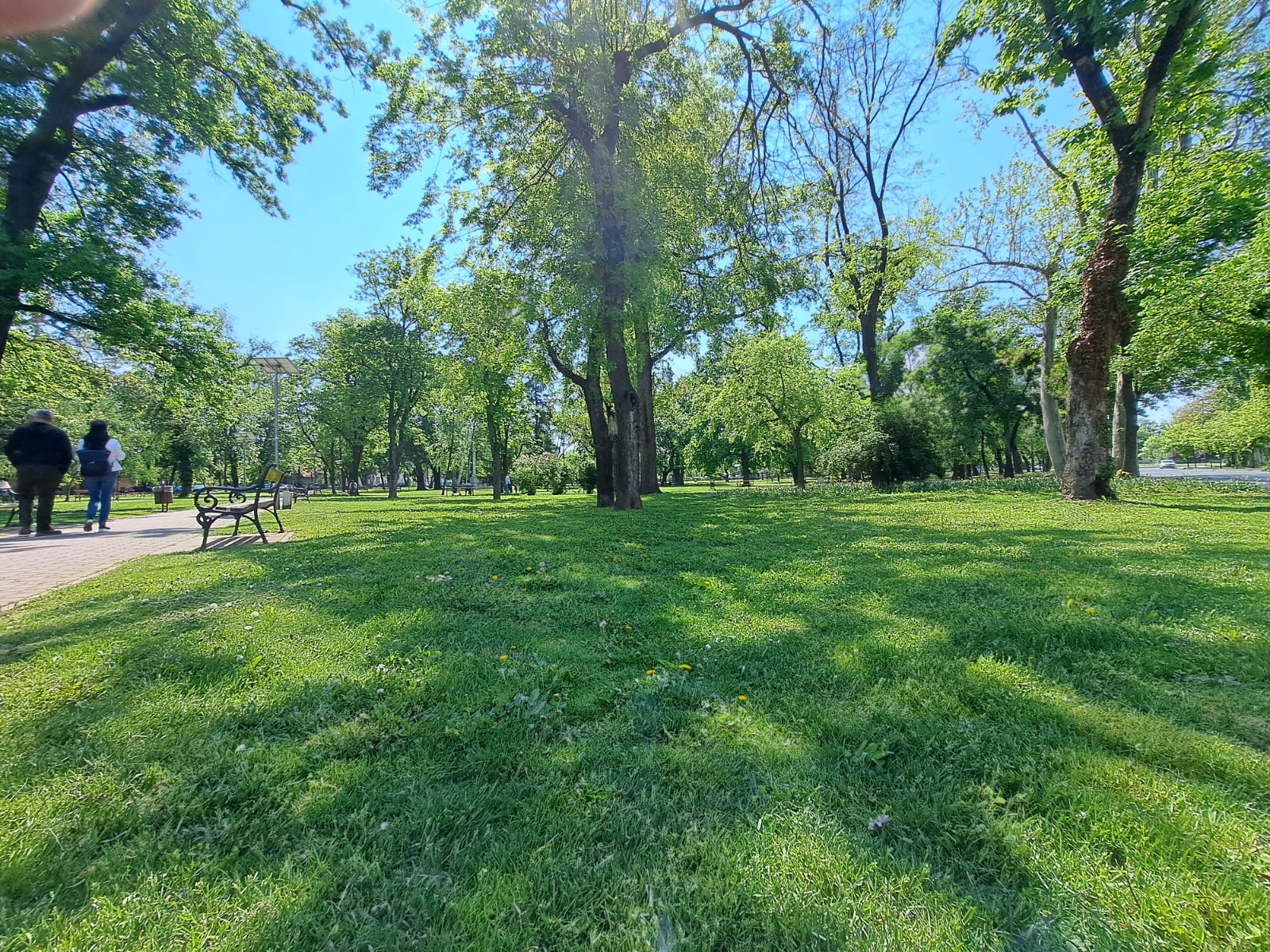 parc parcuri (1)