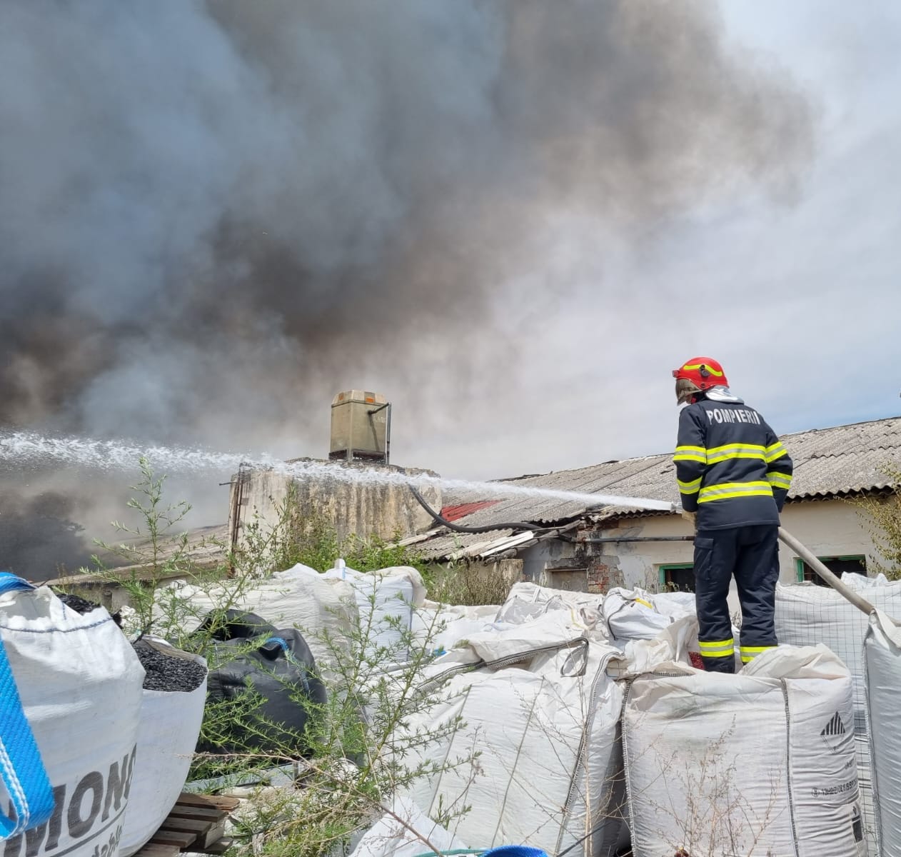 incendiu Becicherecu Mic (4)