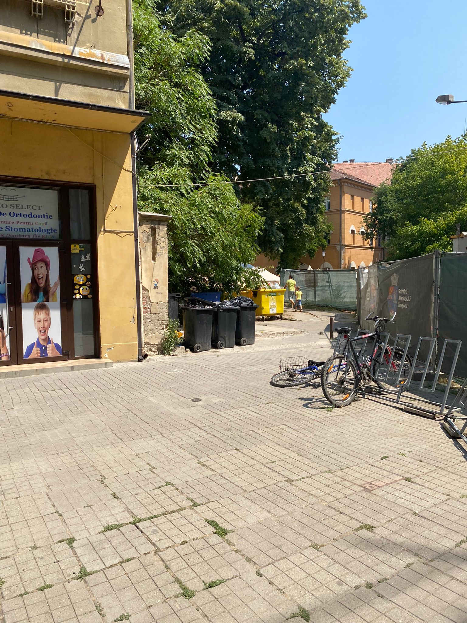 tomberoane pline deseuri gunoi centru timisoara (4)