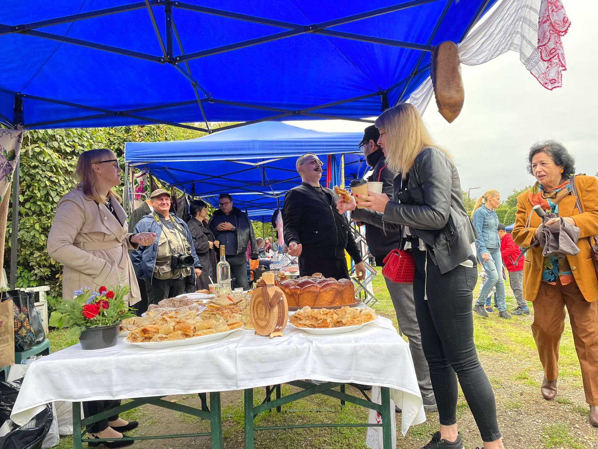 ziua minoritatilor timisoara parcul rozelor (5)