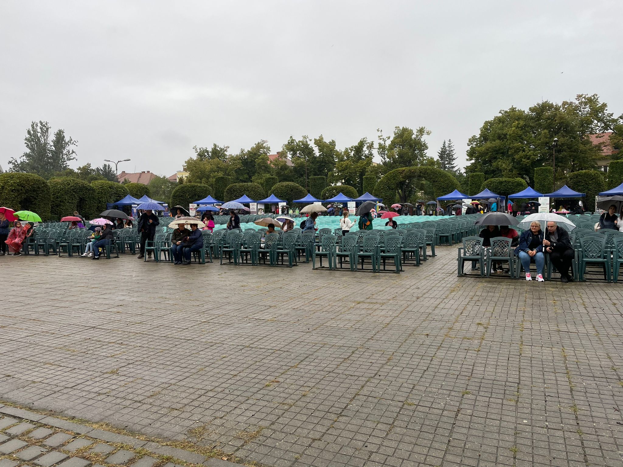 ziua minoritatilor timisoara parcul rozelor (26)