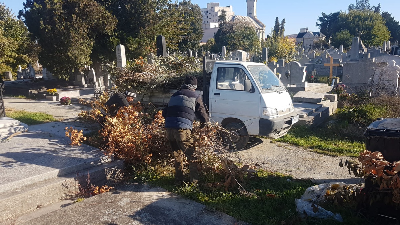 Curățenie cimitir