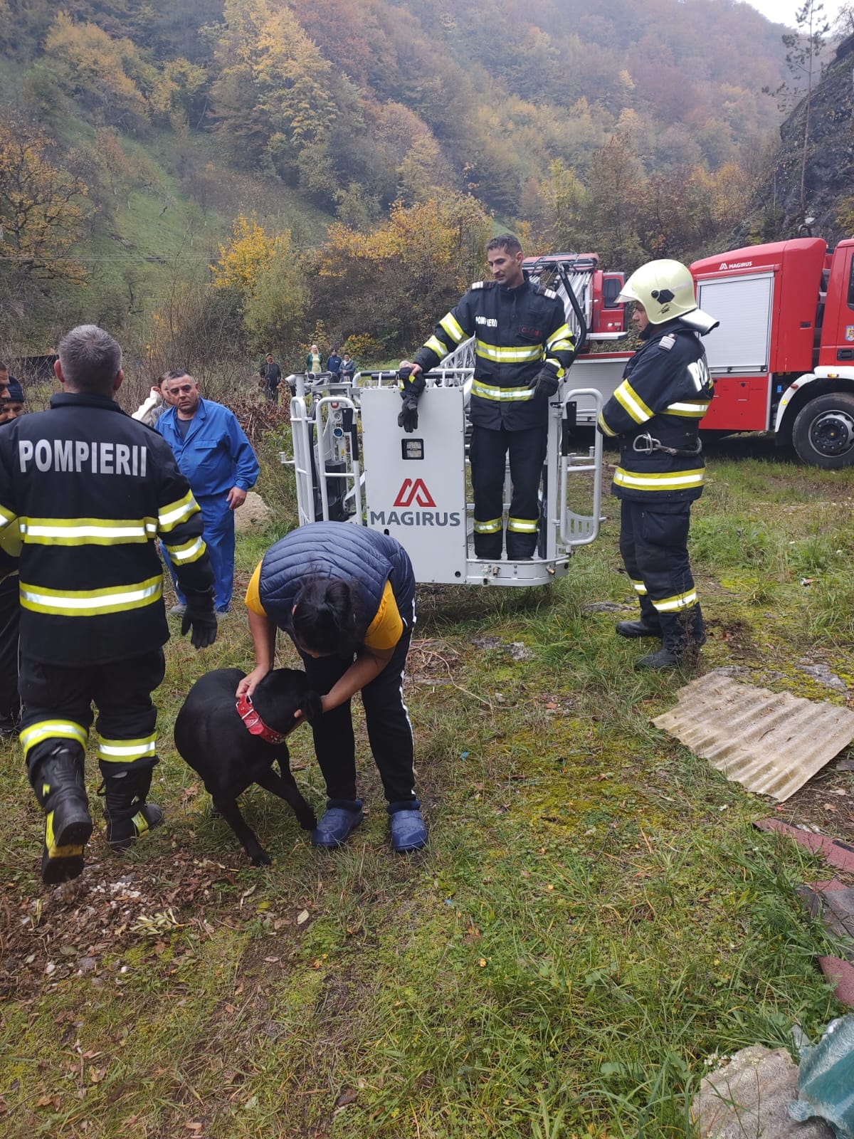 pompieri isu caine catel salvat (3)