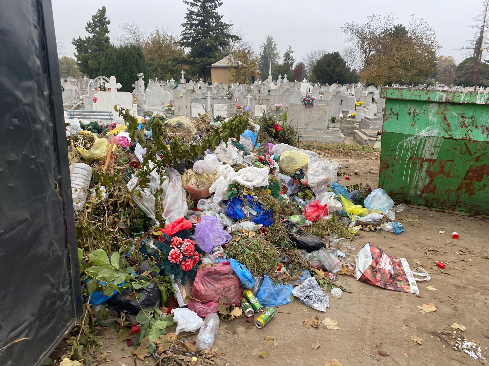 cimitire timisoara ziua mortilor (5)