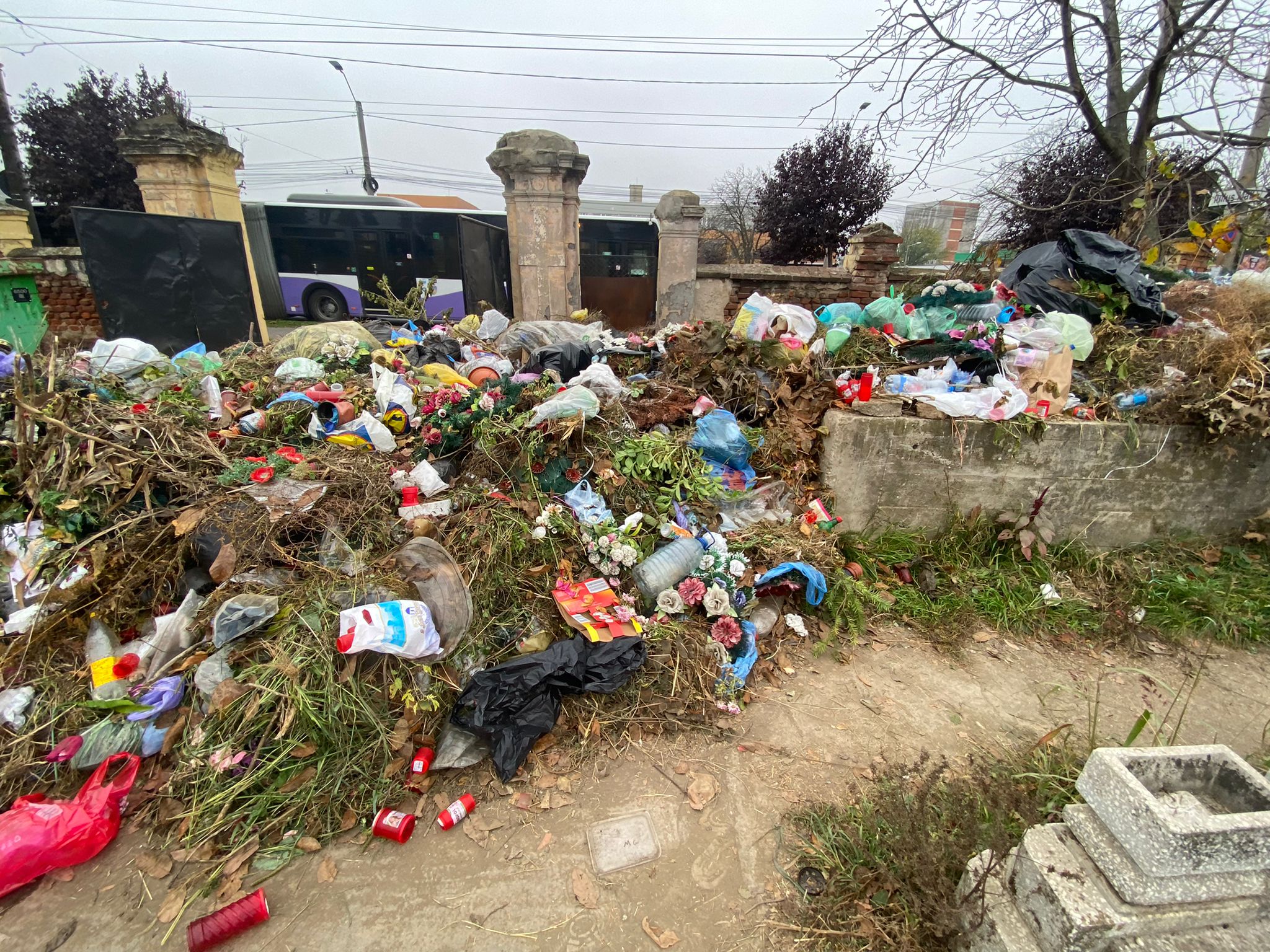 cimitire timisoara ziua mortilor (9)