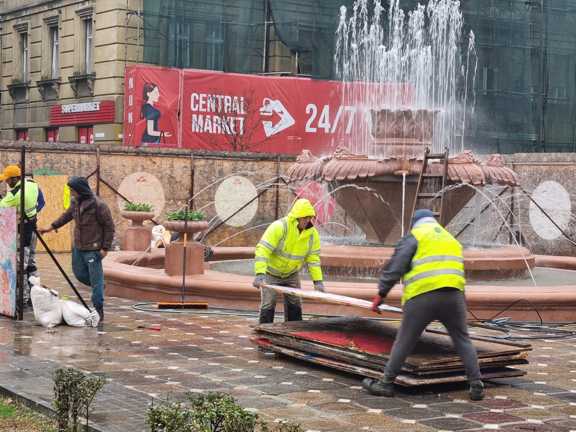 fantana cu pesti timisoara (8)