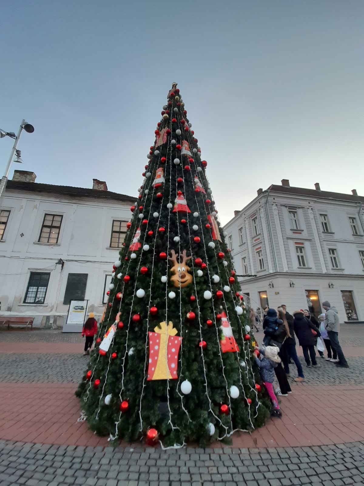 targ craciun timisoara (1)