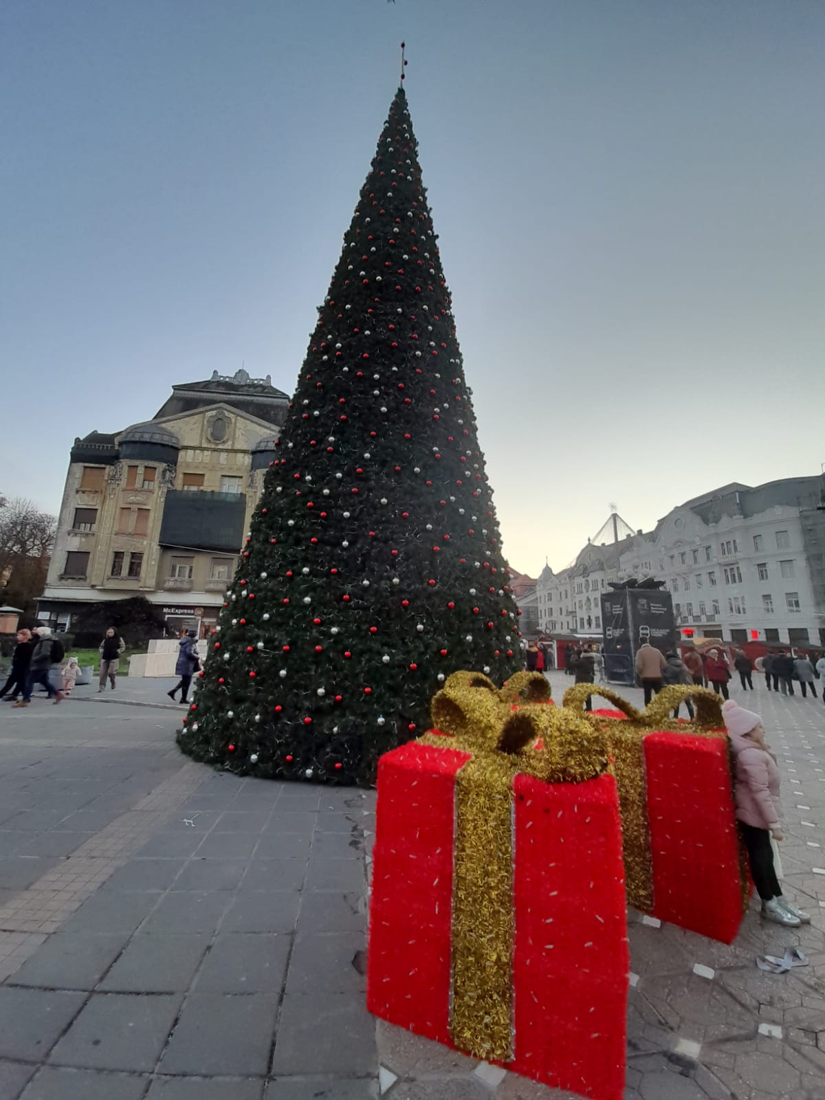 targ craciun timisoara (7)