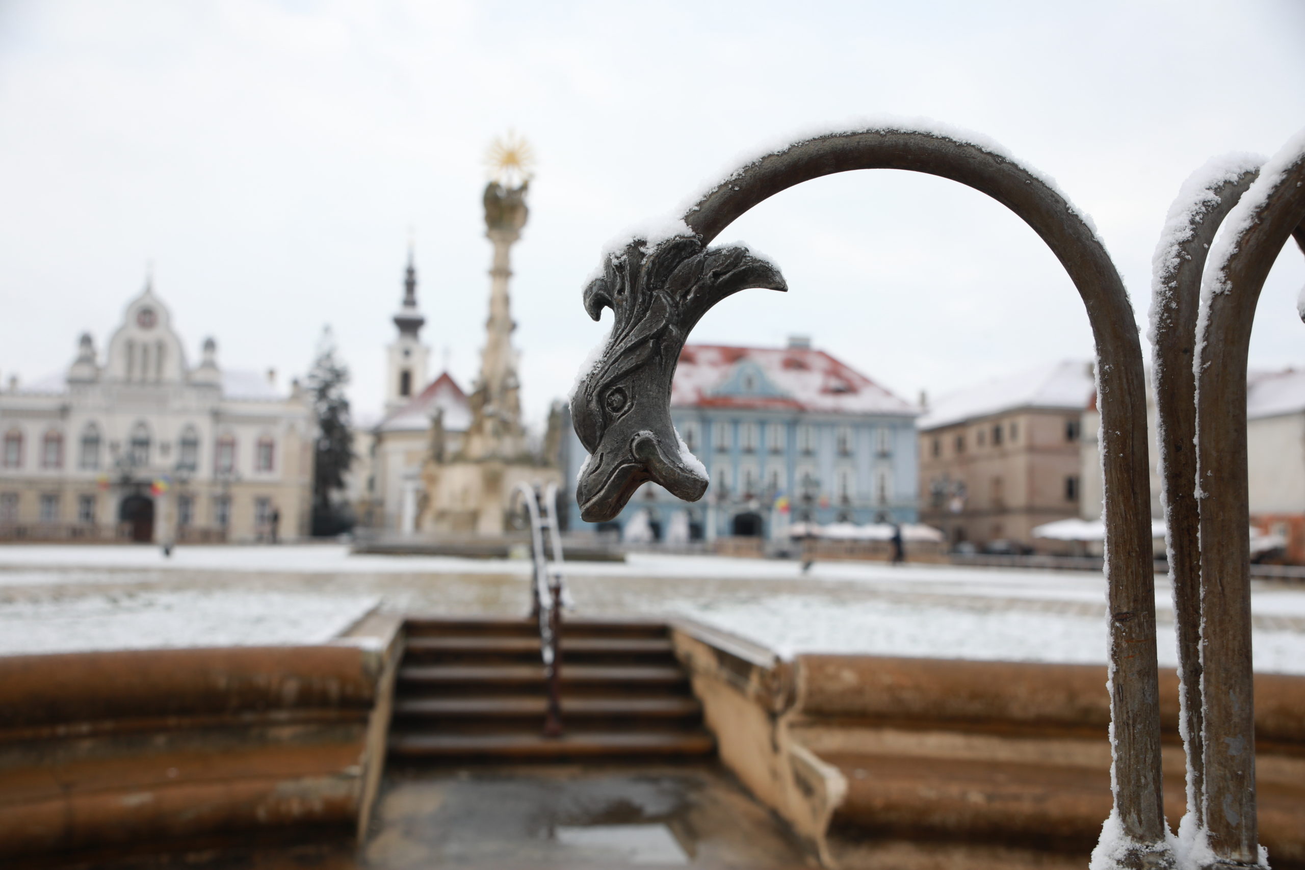 Ninsoare Timișoara