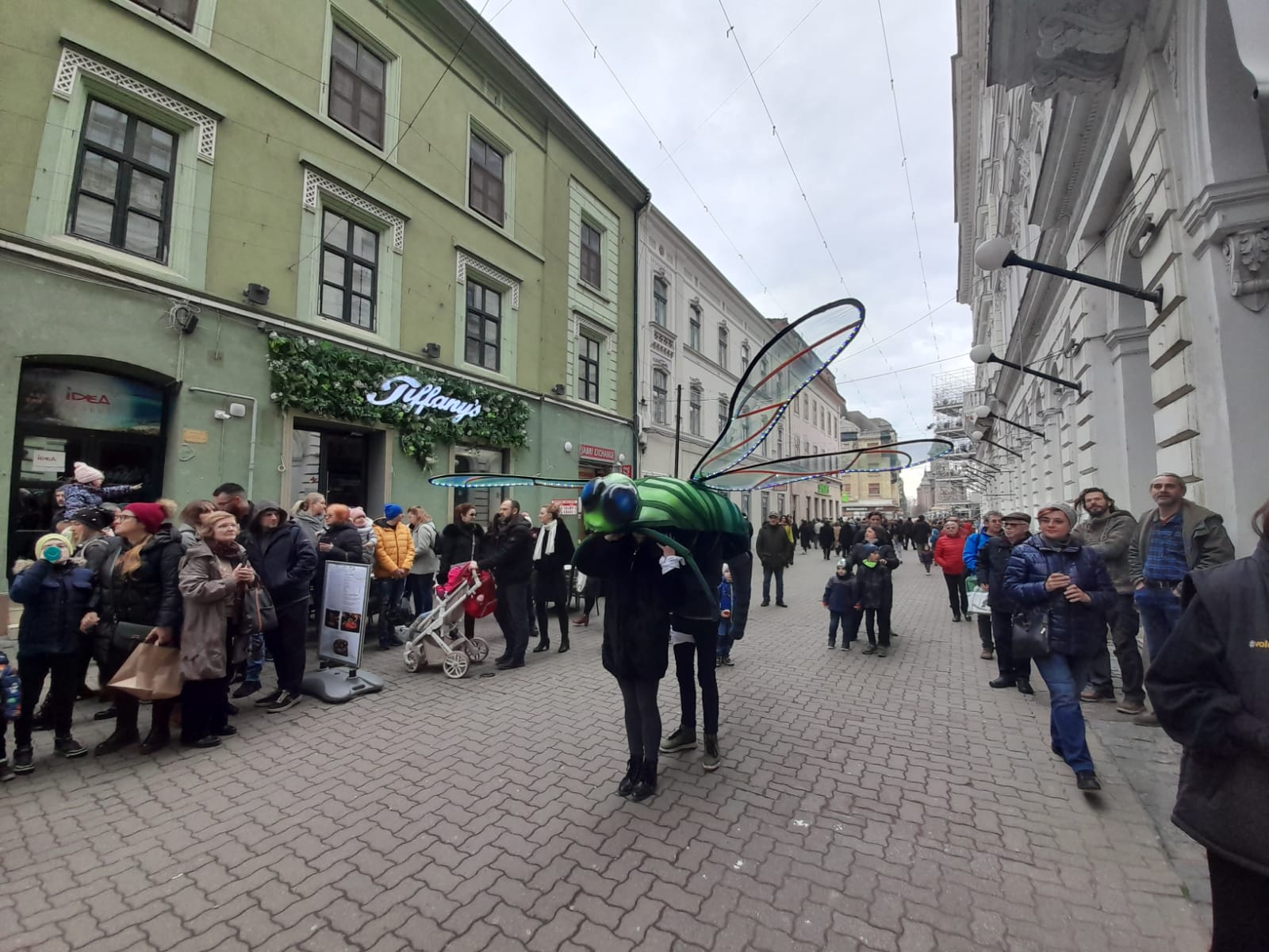 marionete timisoara teatrul de papusi veszprem (3)