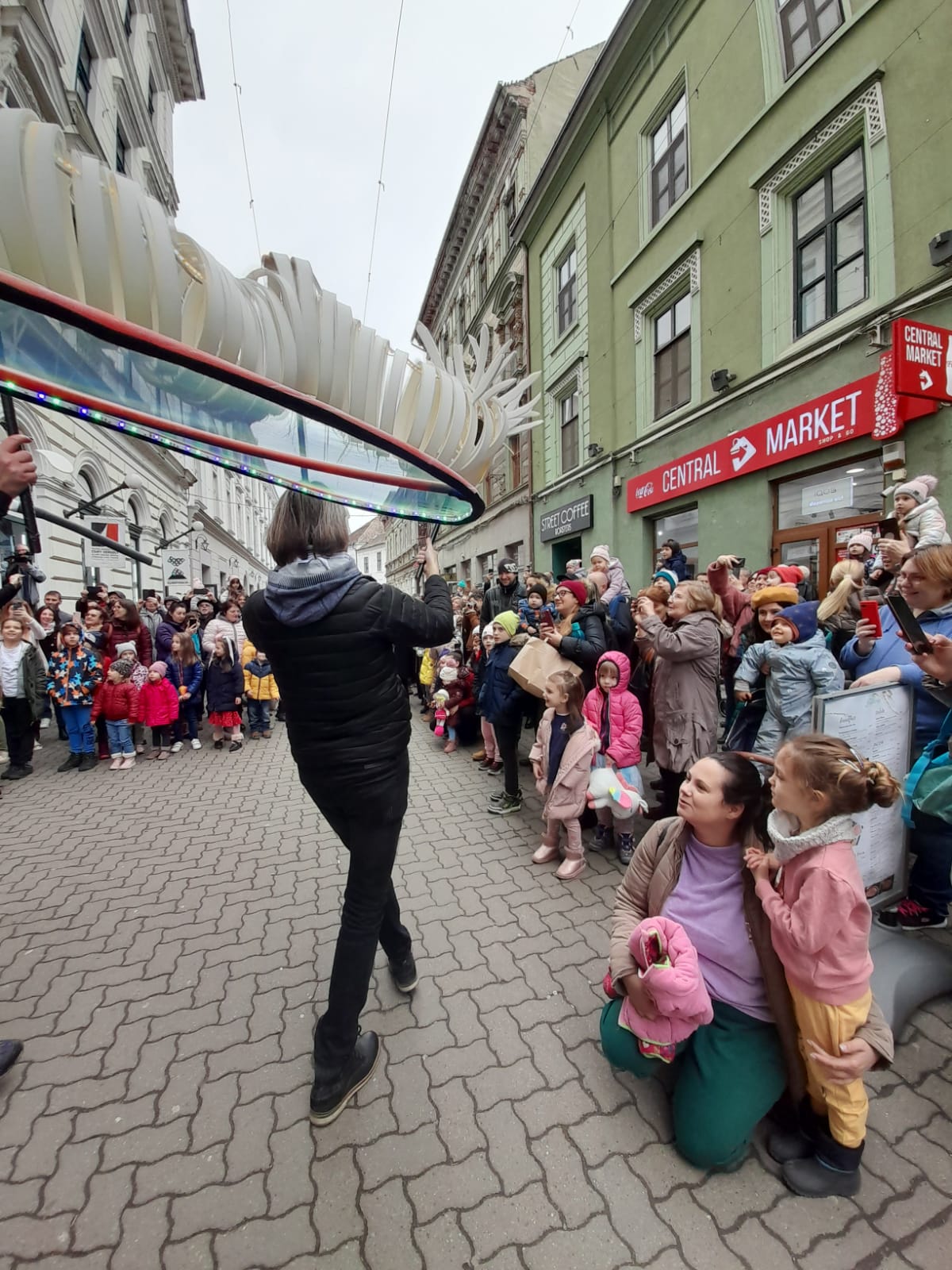 marionete timisoara teatrul de papusi veszprem (13)