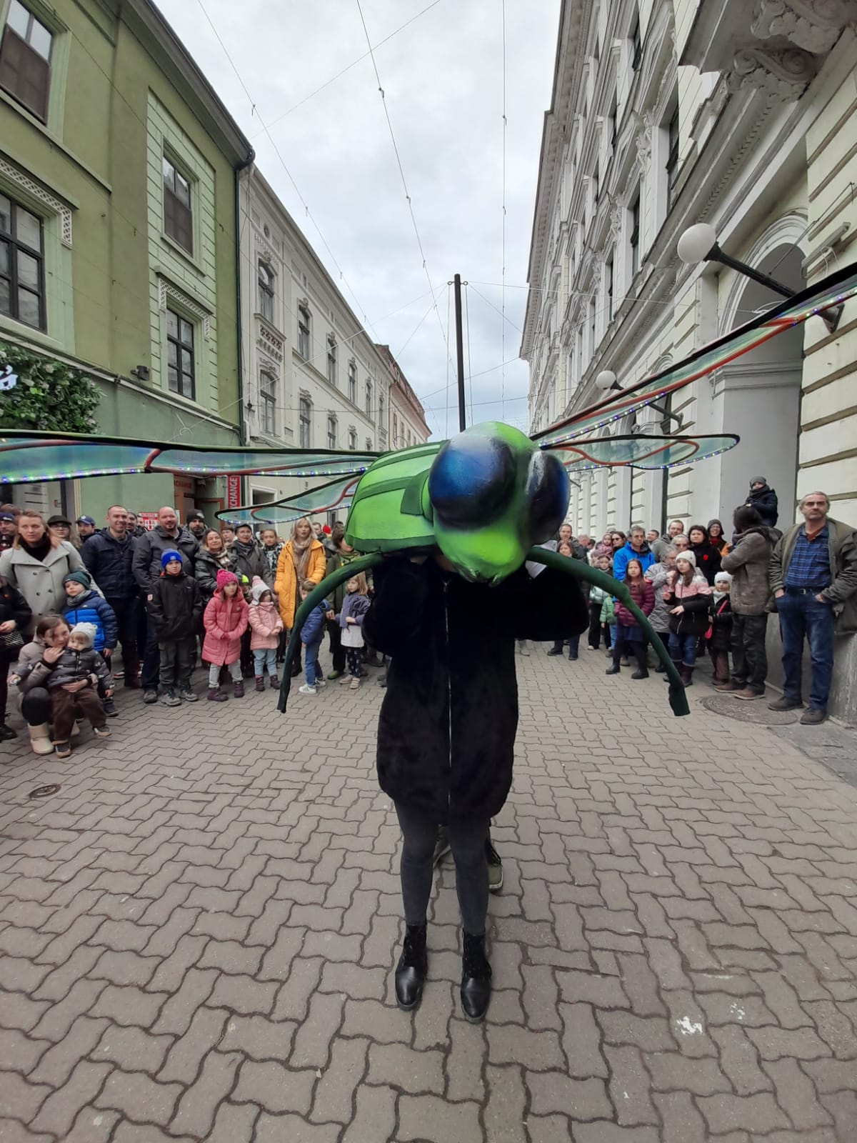 marionete timisoara teatrul de papusi veszprem (18)