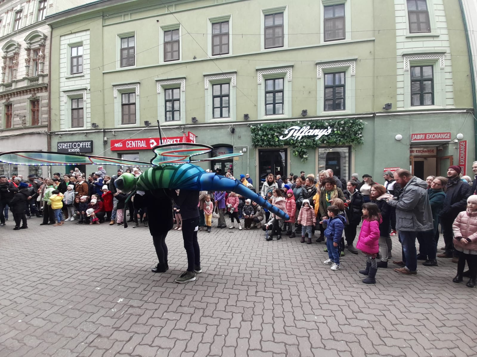 marionete timisoara teatrul de papusi veszprem (19)