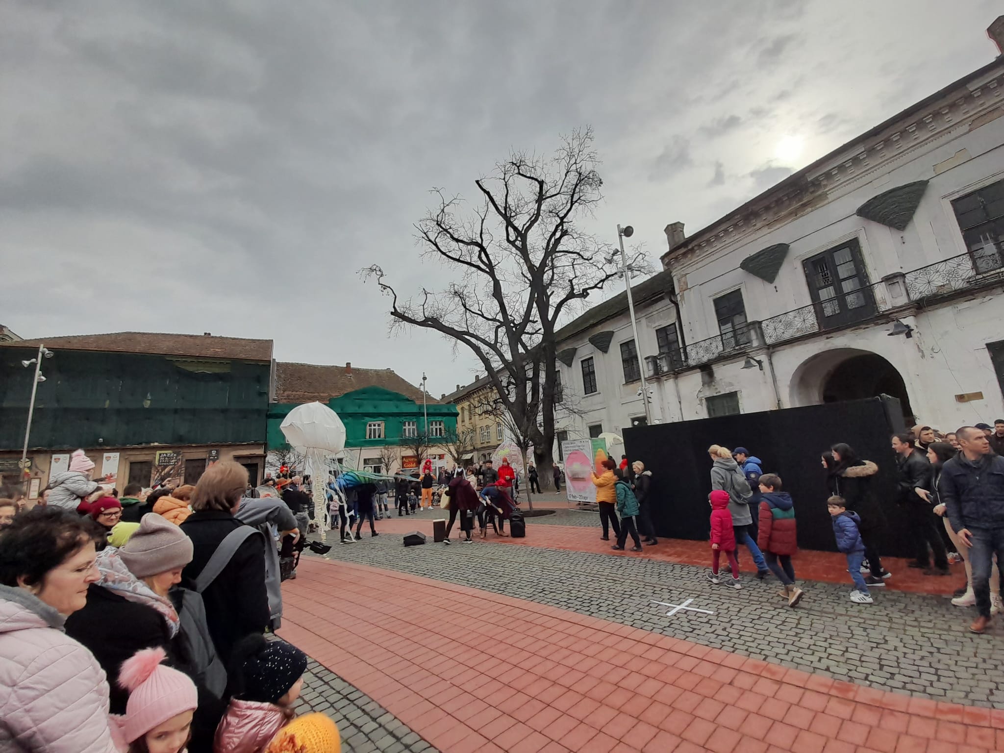 marionete timisoara teatrul de papusi veszprem (20)