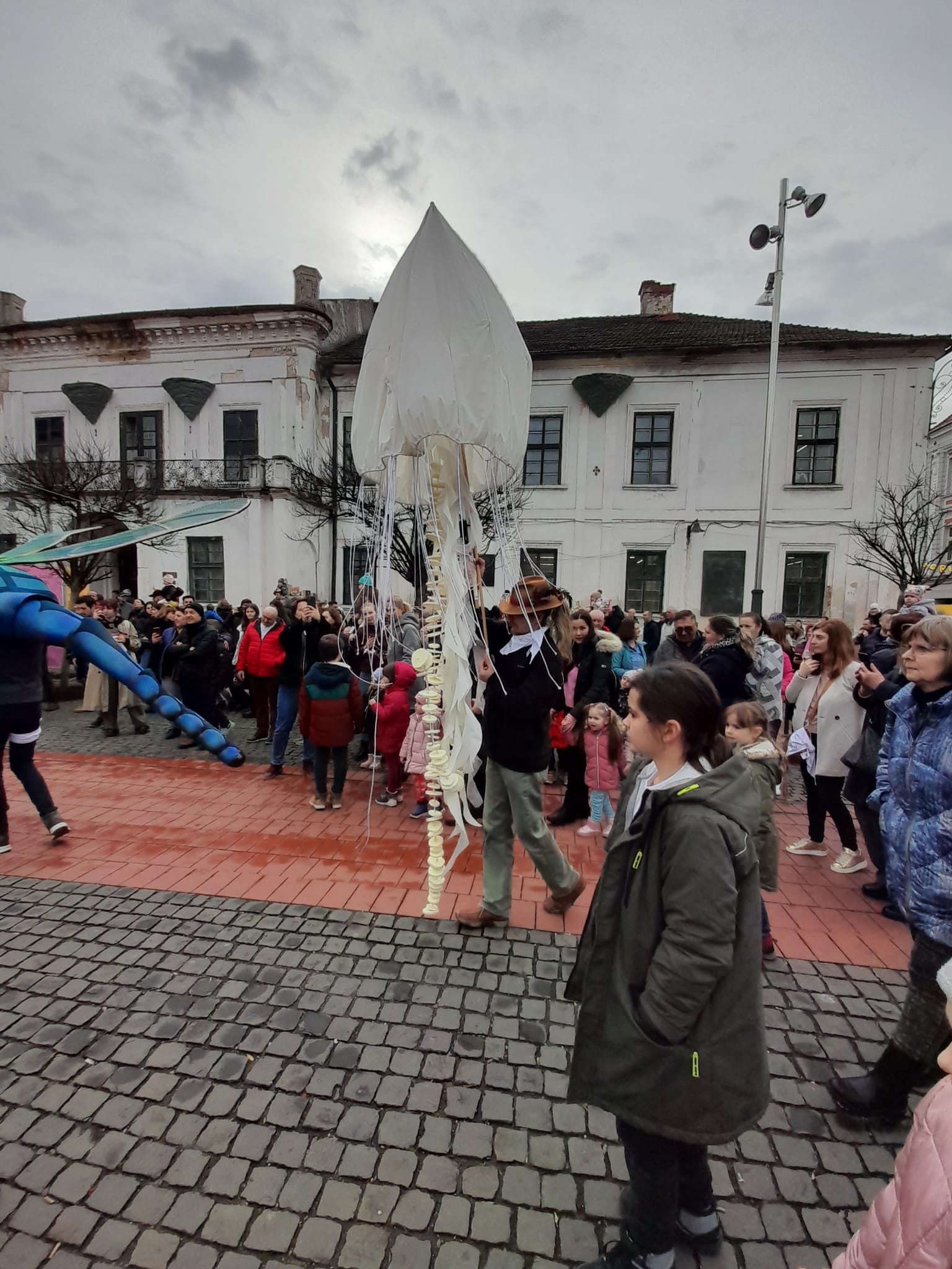 marionete timisoara teatrul de papusi veszprem (21)