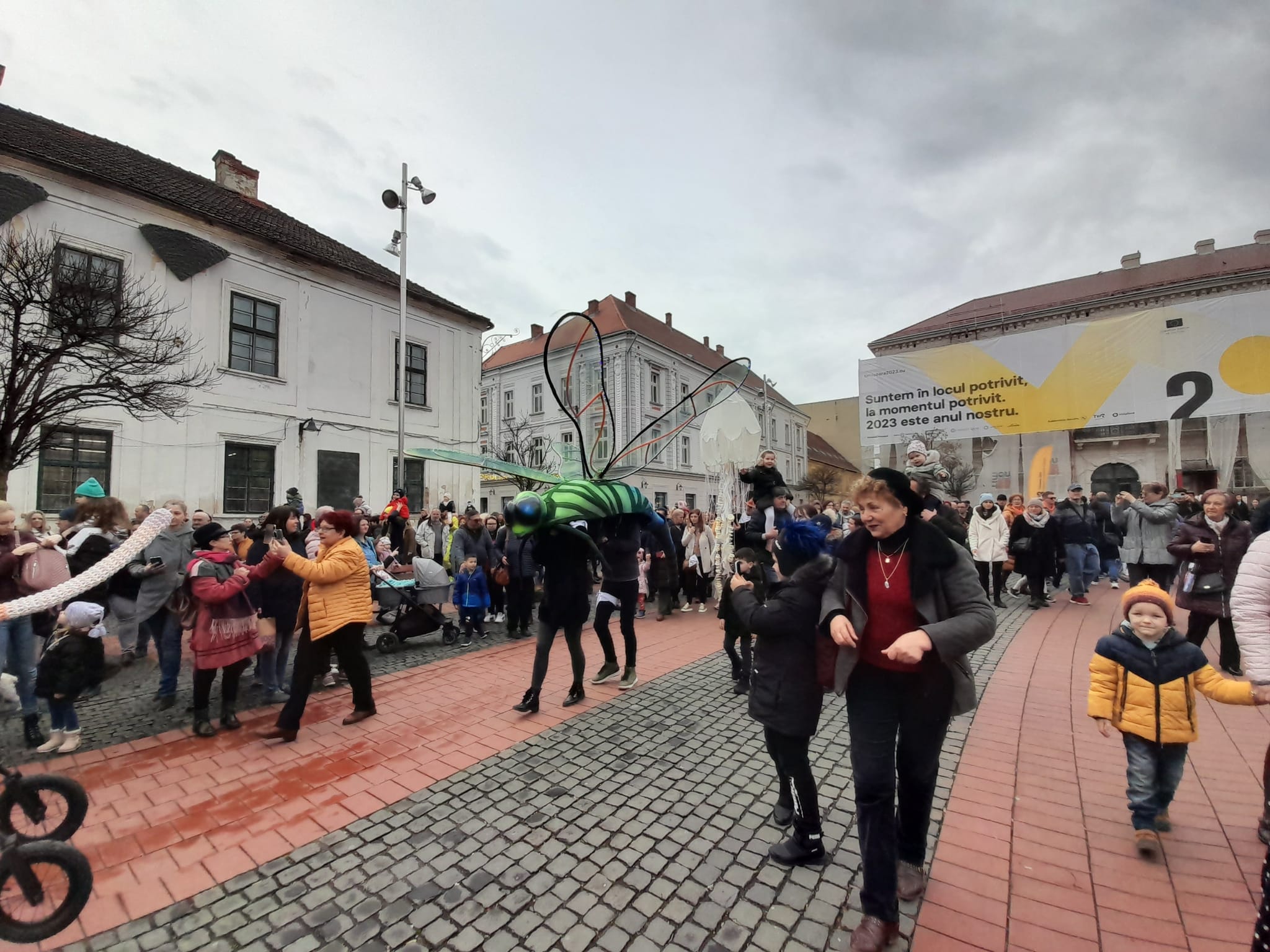 marionete timisoara teatrul de papusi veszprem (22)