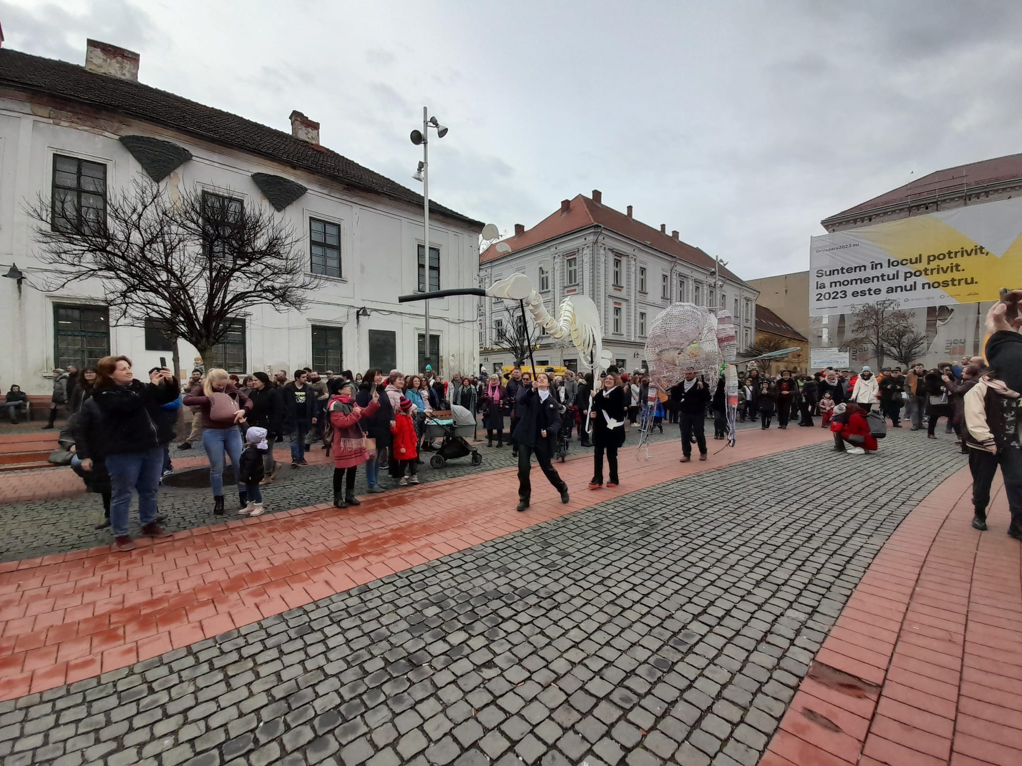 marionete timisoara teatrul de papusi veszprem (23)