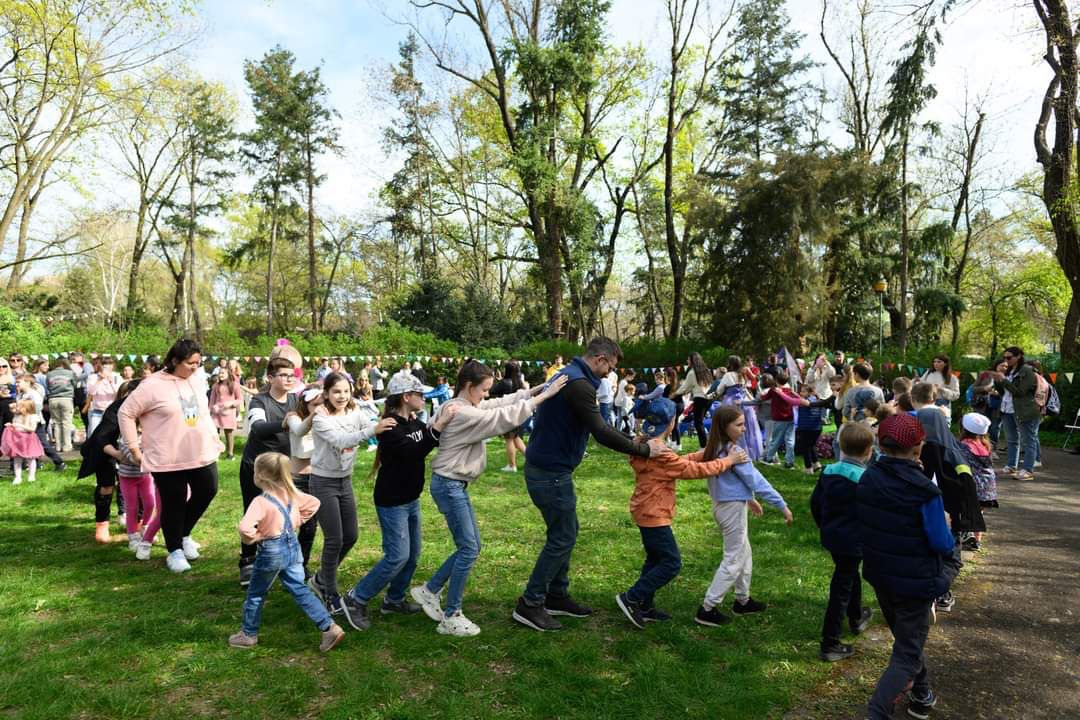 Activități Institutul Francez