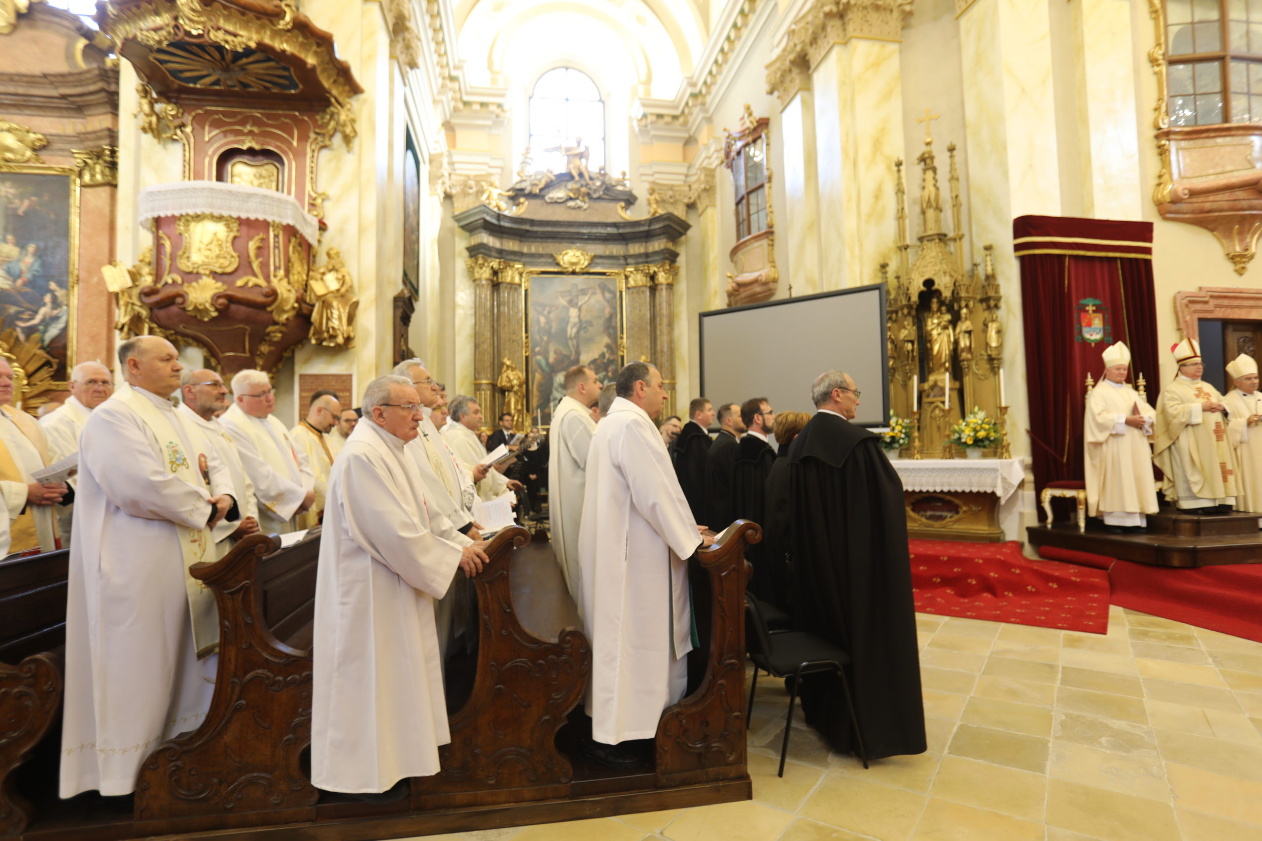 domul romano-catolic dom biserica (60)