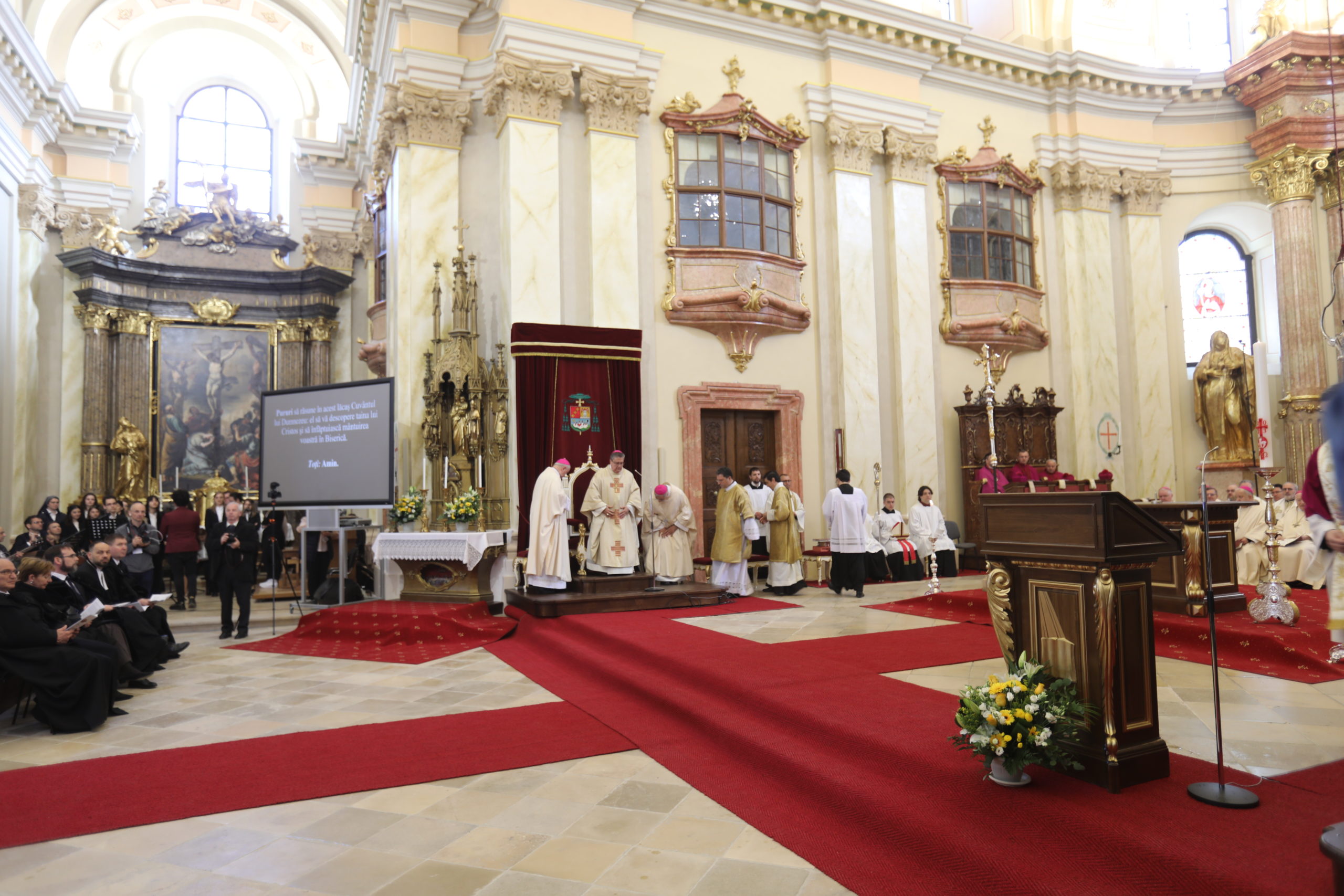 domul romano-catolic dom biserica (70)