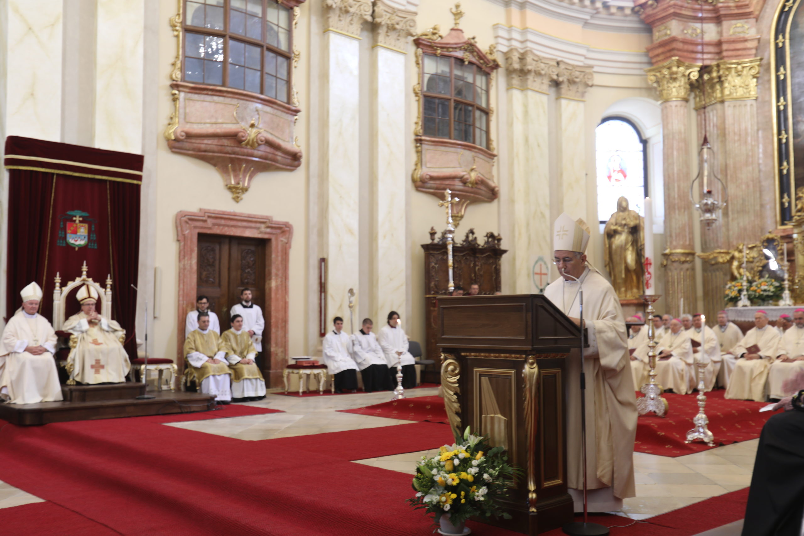 domul romano-catolic dom biserica (75)