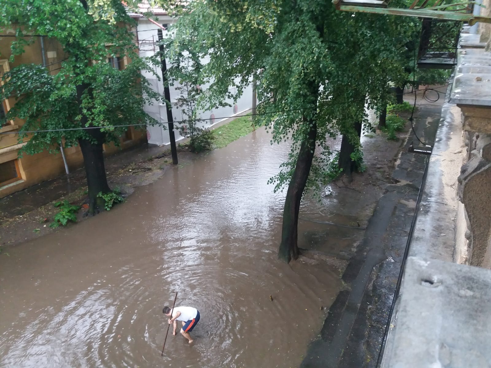 Ploaie torențială Timișoara