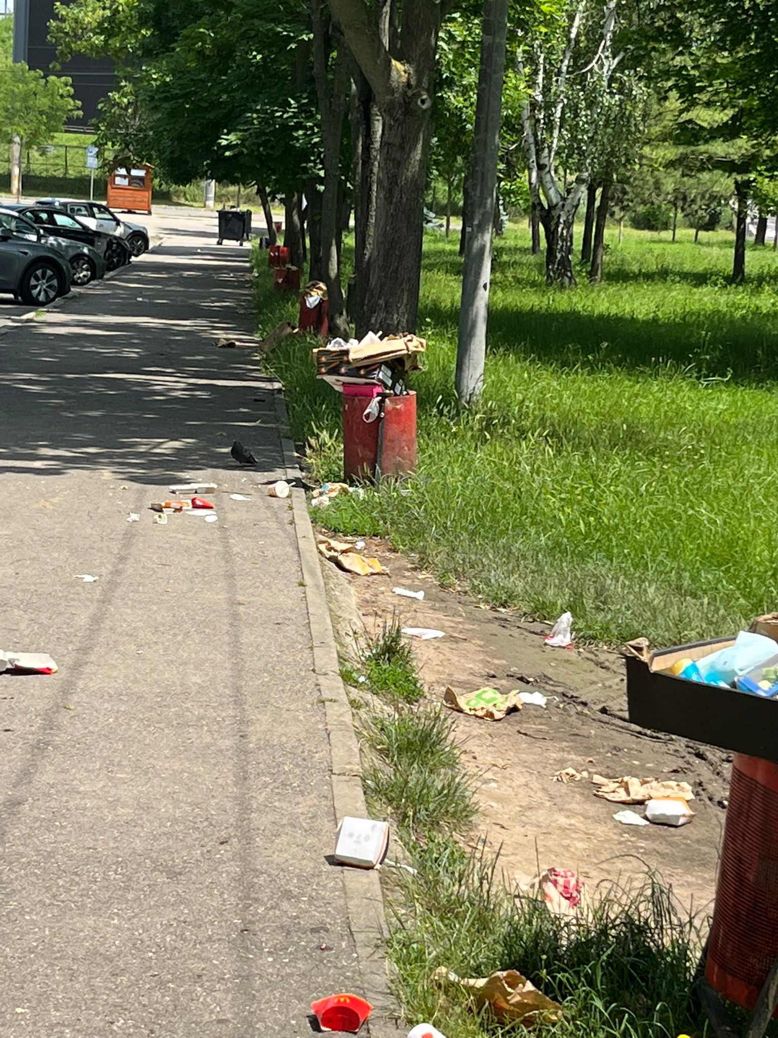 Gunoaie în zona stadionului Dan Păltinișanu